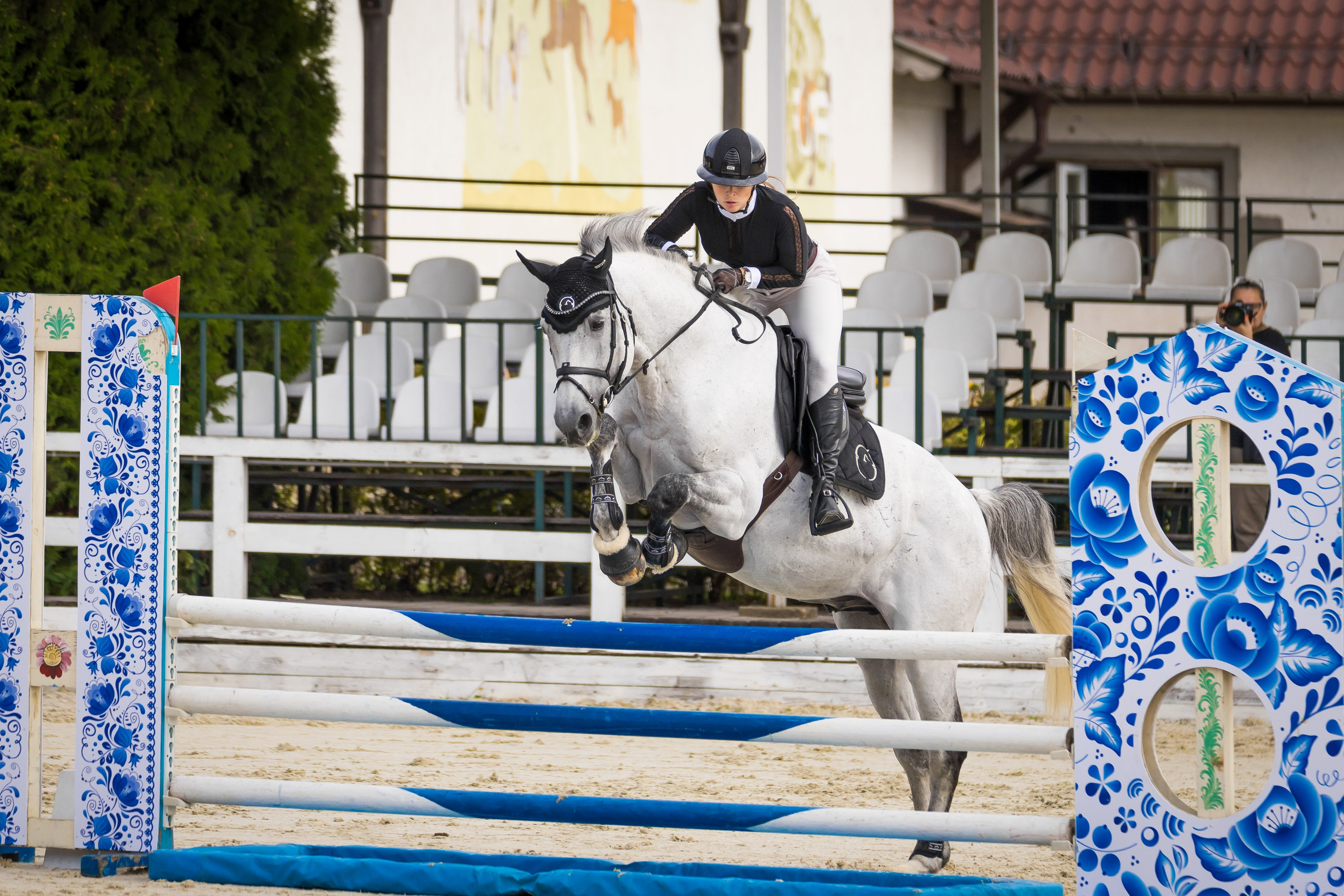 Конный спорт. Photomantis