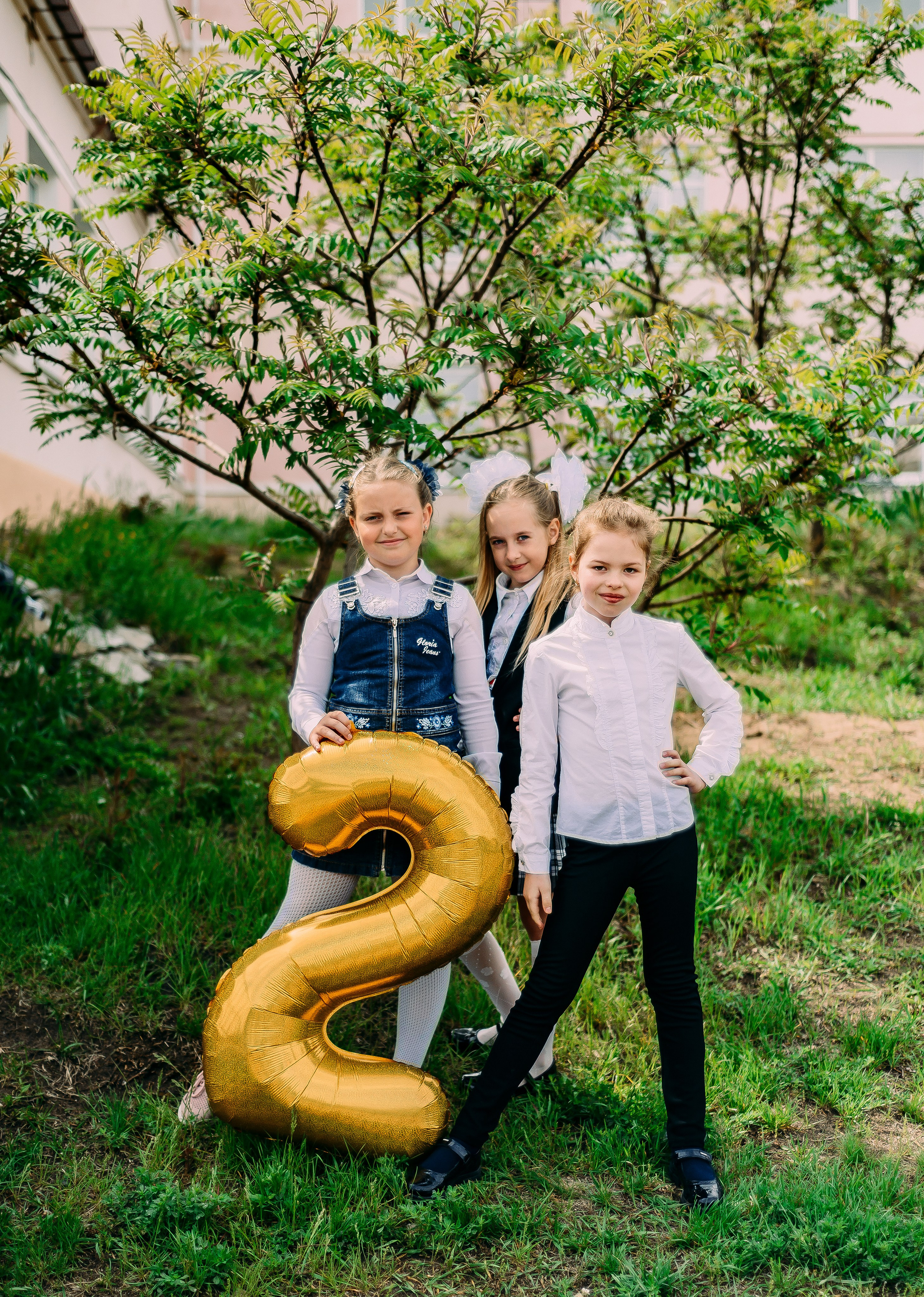 2 «А» | Школа № 17| г. Лиски |2022. ALBUMIA