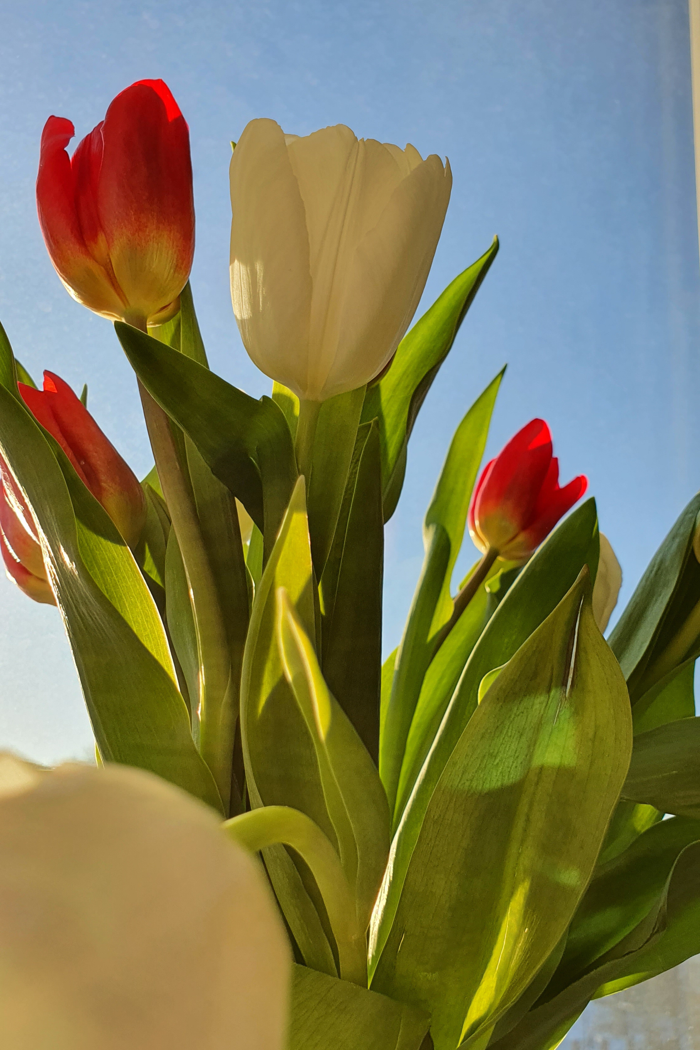 Пресеты. Свадебный и семейный фотограф в Москве Юлия Шикалова