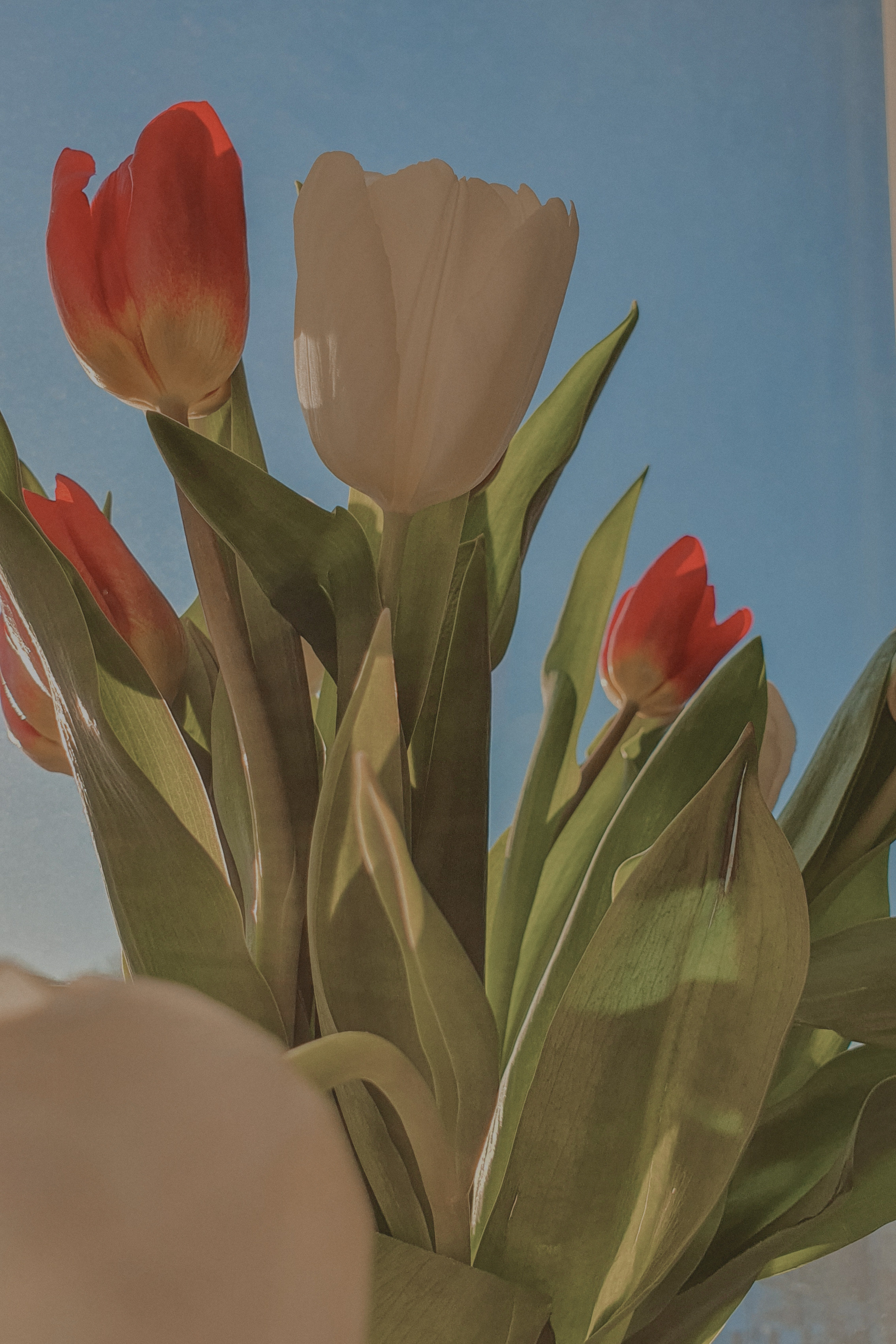 Пресеты. Свадебный и семейный фотограф в Москве Юлия Шикалова