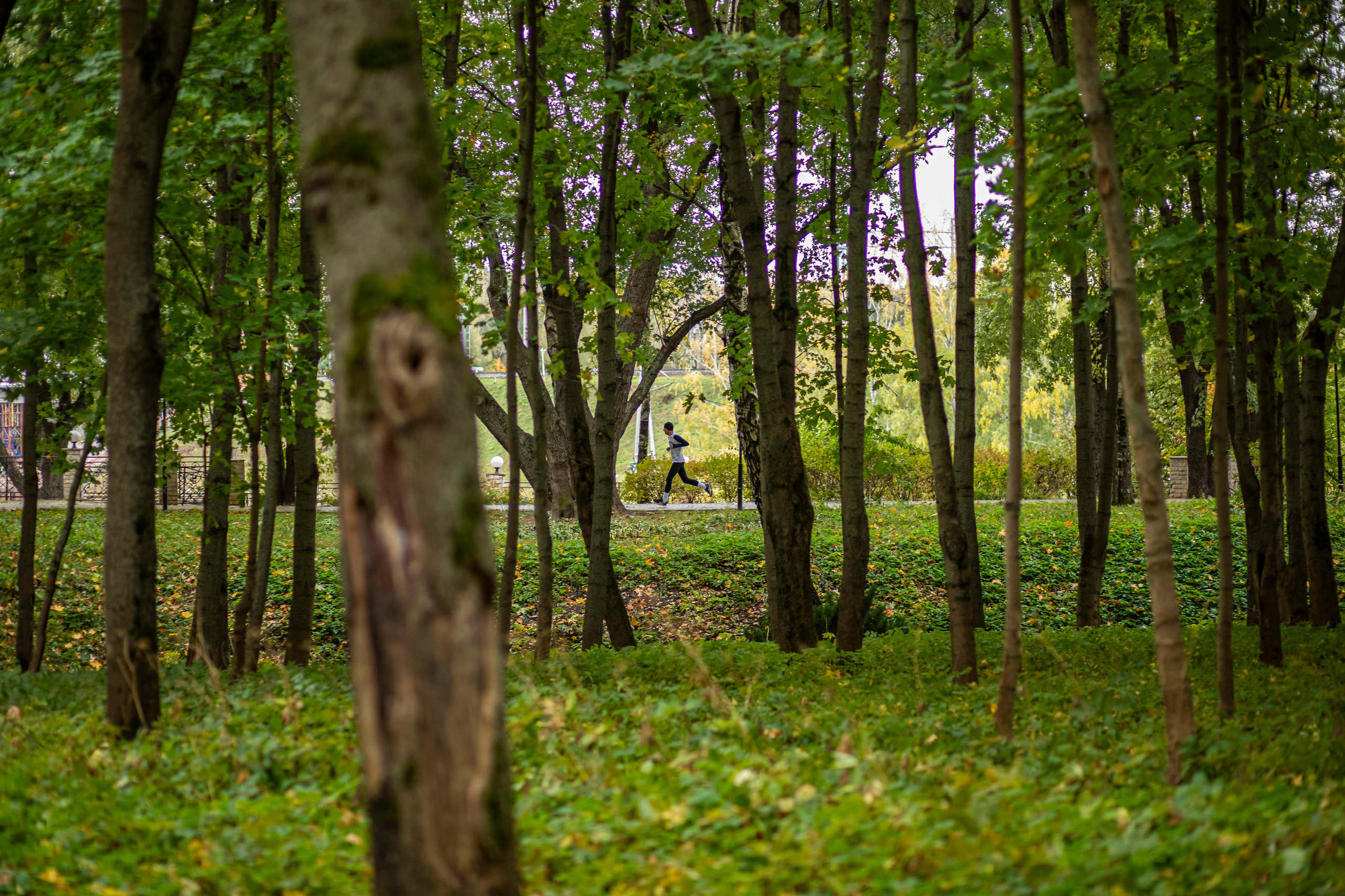 5 вёрст Химки, 7 октября 2024 г. Фотограф Сергей Ловкий