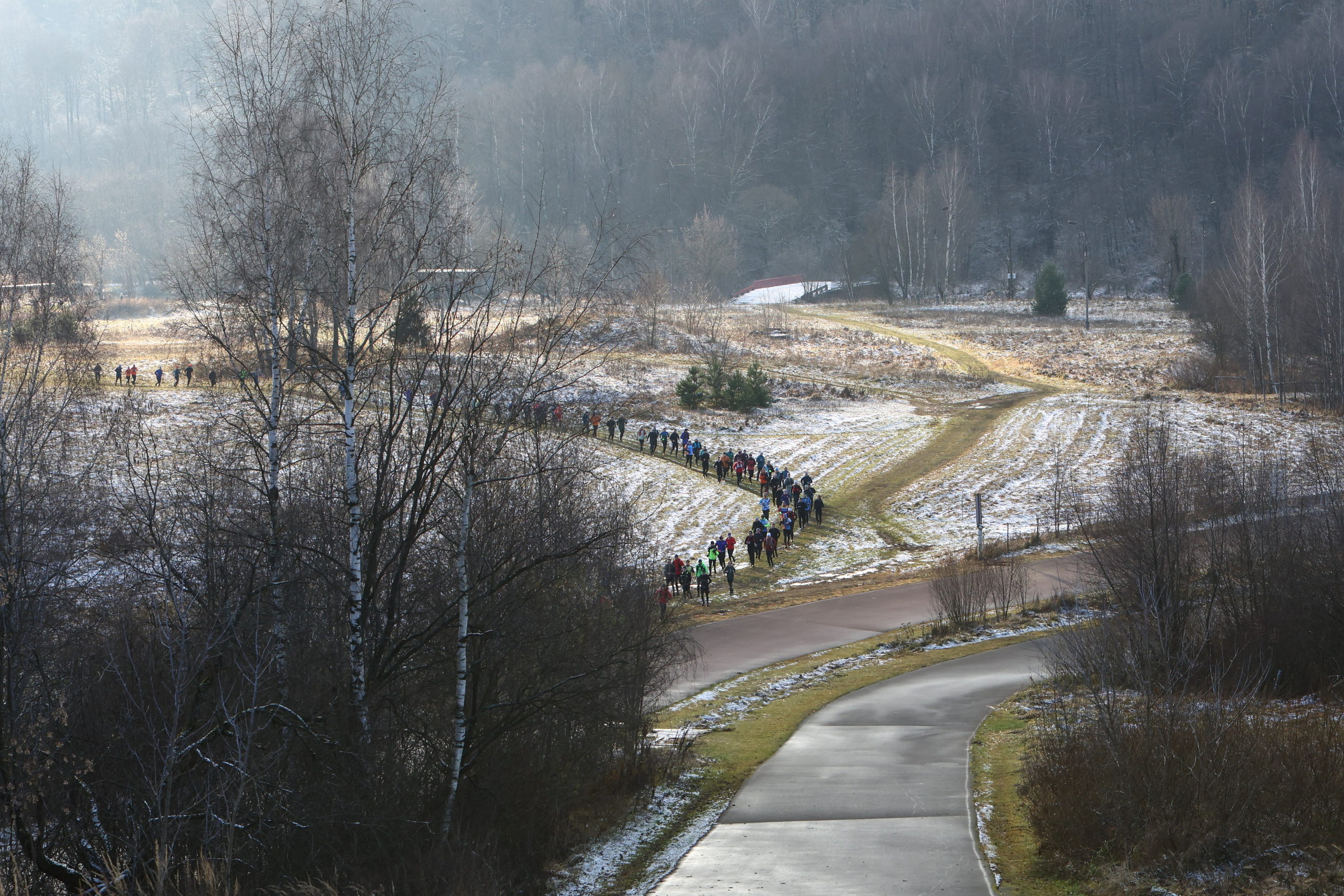 Два лепестка Химкинского марафона у дома, 23.11.25. Фотограф Сергей Ловкий