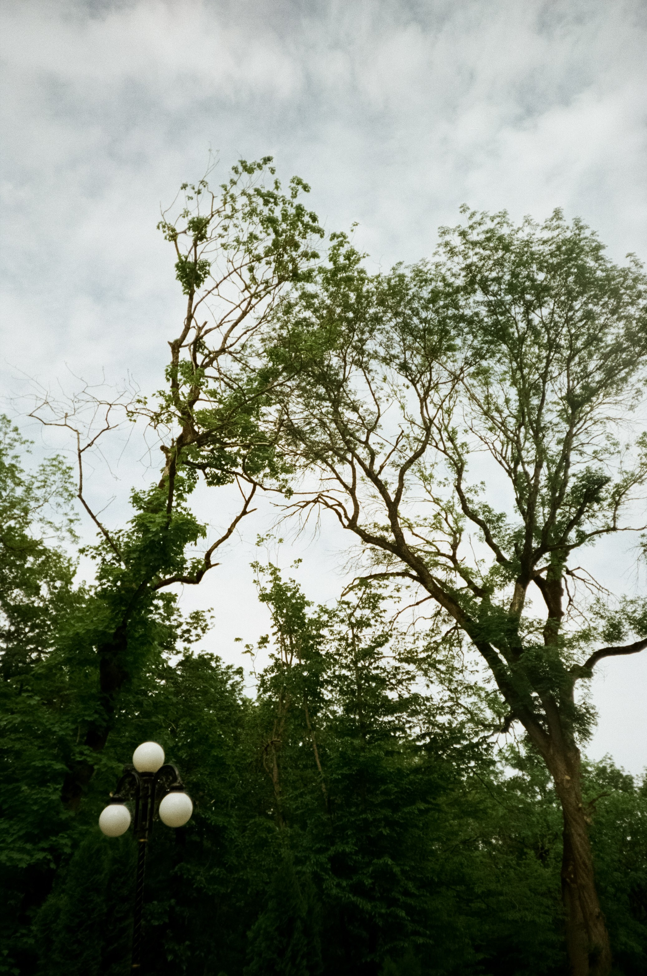 Каскадная лестница в Курортном парке Железноводска. 574 ступени красот. Фотограф-документалист Мария Осокина