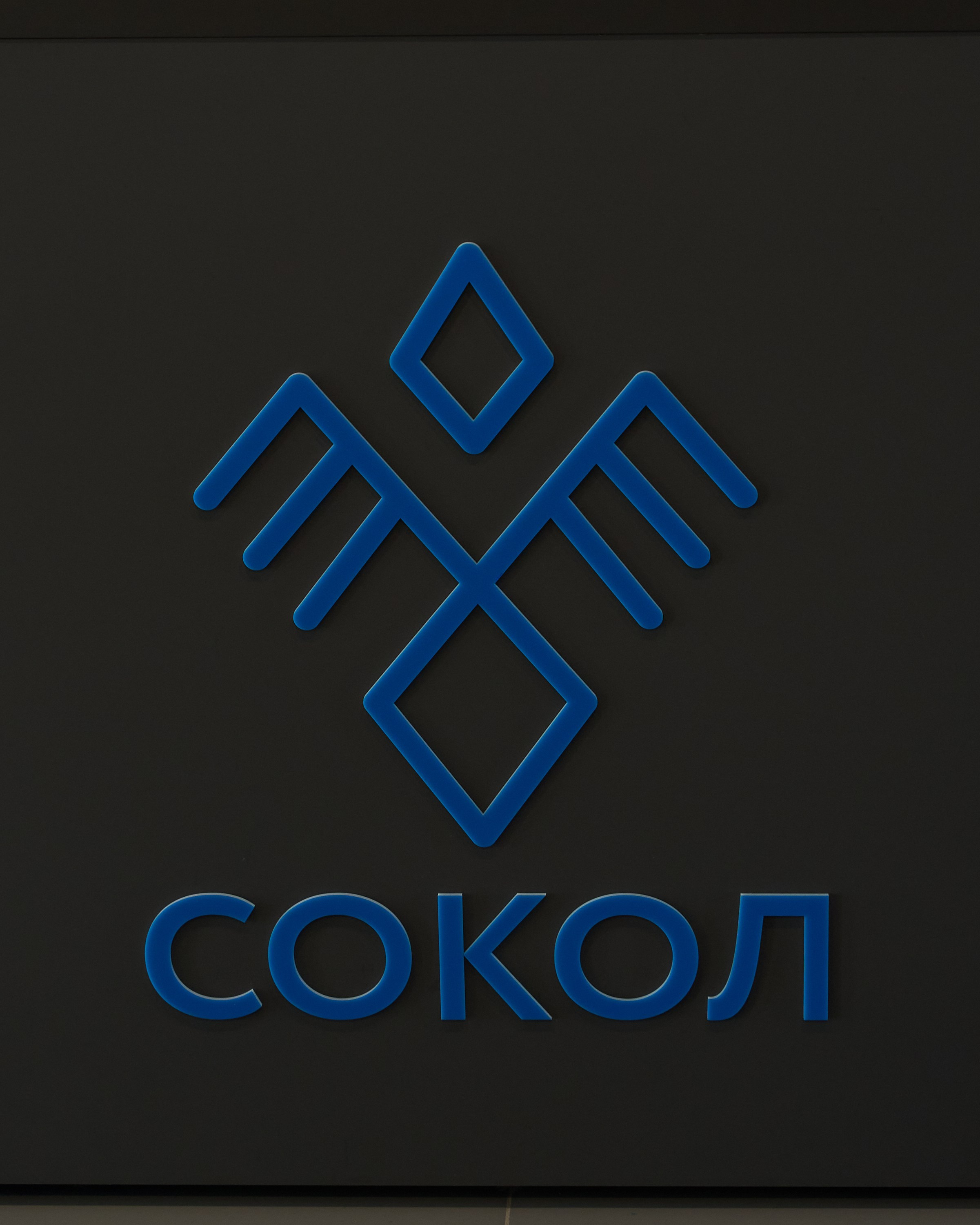 Открытие центров спортивных единоборств «Сокол» Красноярск/Дивногорск. Александр Сазонов Красноярск