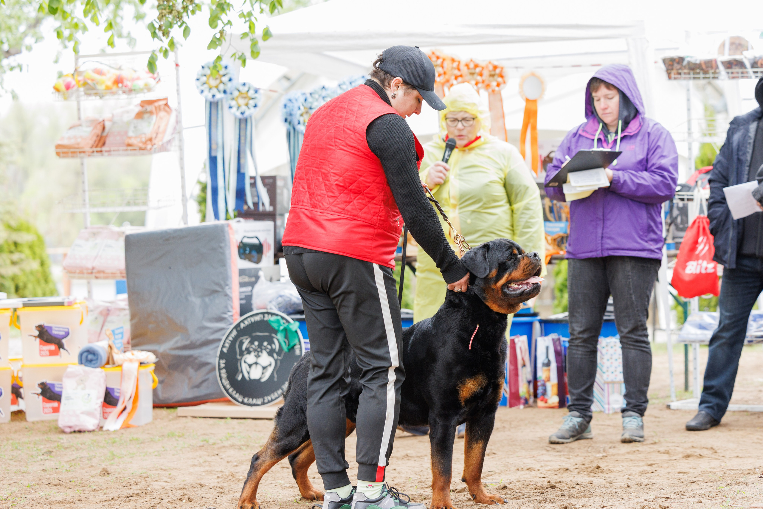 Саратов моно ротвейлеров 26-27.04.2025. Фотограф-анималист Юлия Германика