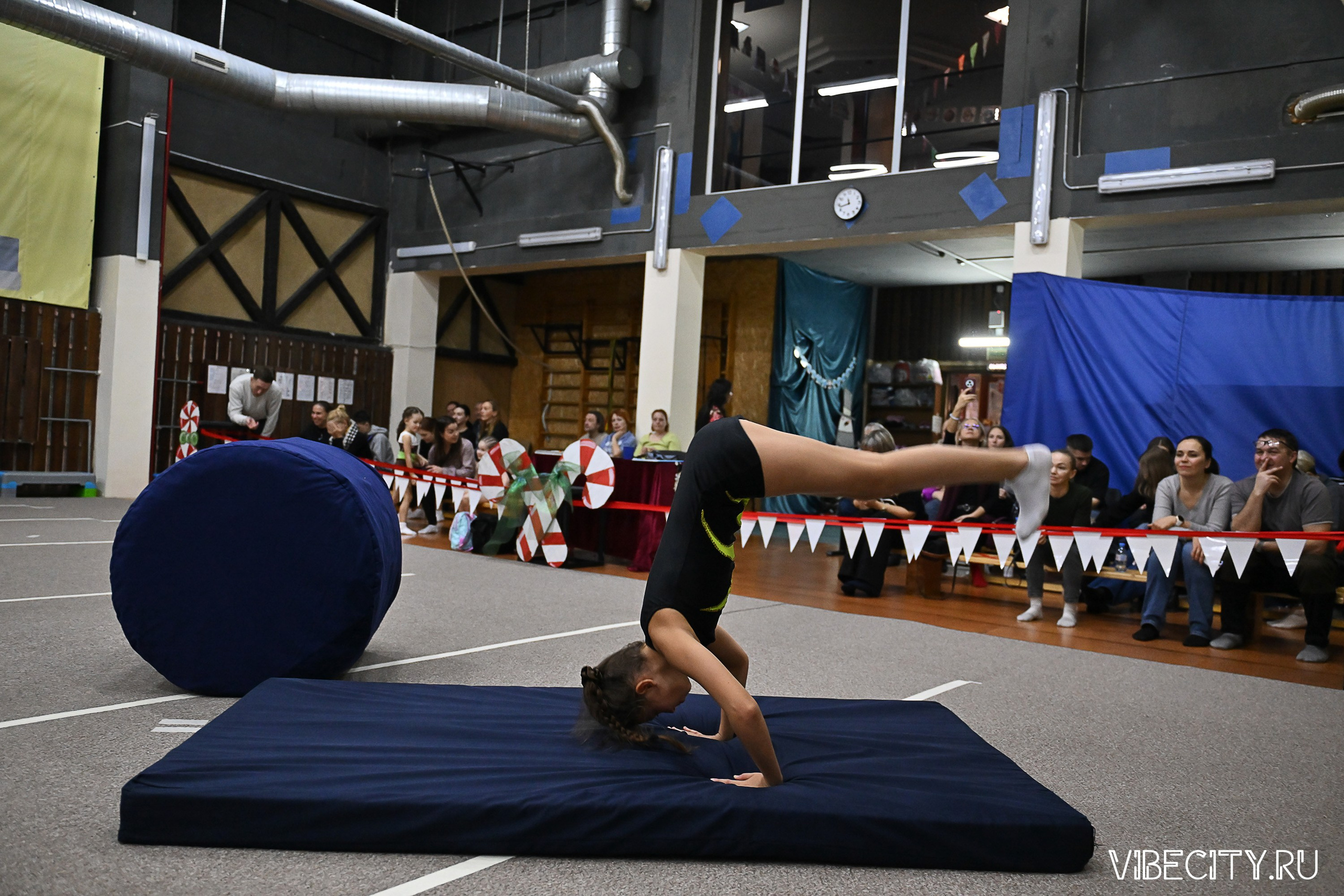 Контрольная тренировка по спортивной гимнастике. VIBECITY.RU Вайб Сити Ру Фоторепортажи Фотоотчеты Калининград