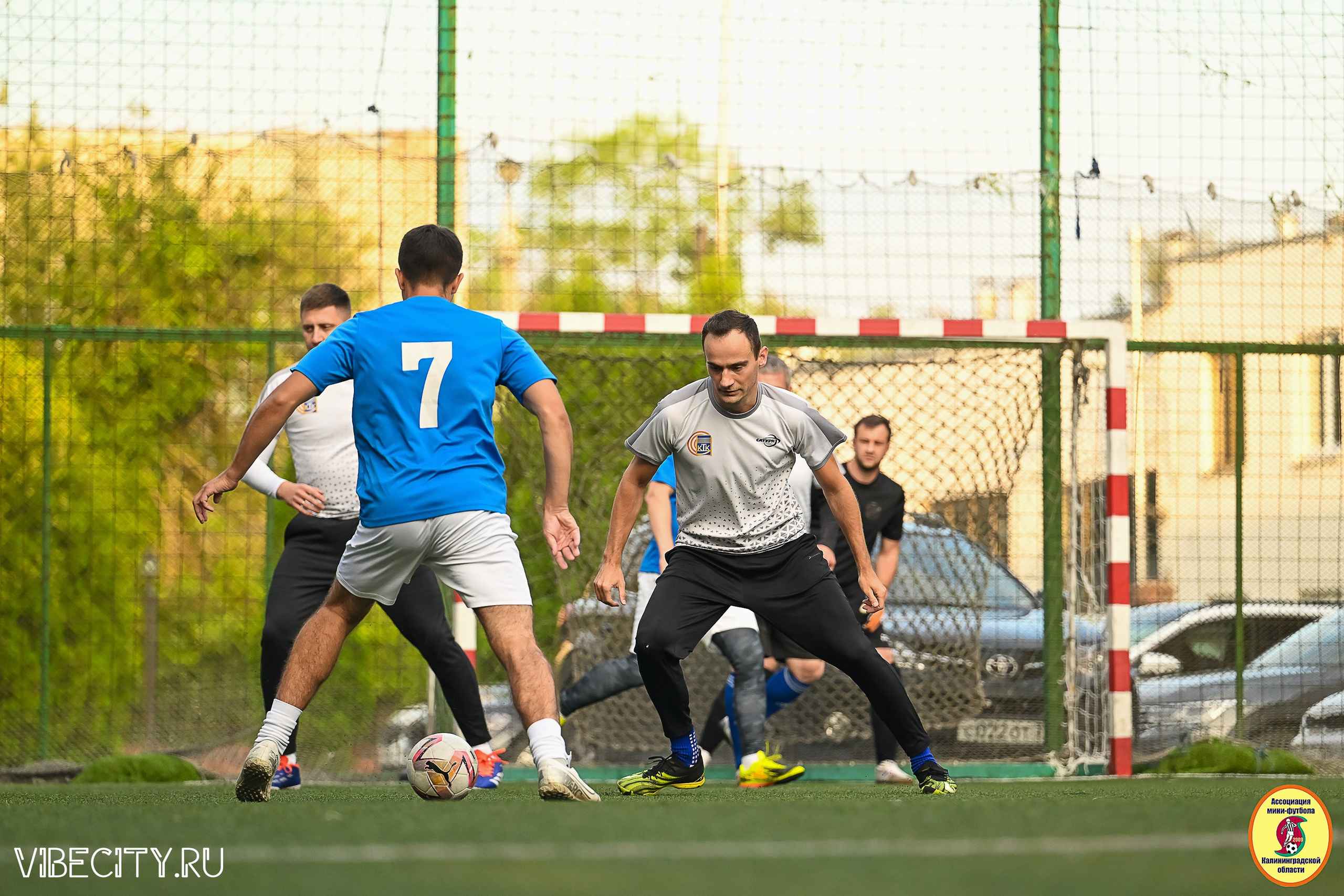 ИГРЫ ПЛЕЙ-ОФФ ПЕРВОГО ДИВИЗИОНА МИНИ-ФУТБОЛЬНОЙ ЛИГИ. VIBECITY.RU Вайб Сити Ру Фоторепортажи Фотоотчеты Калининград