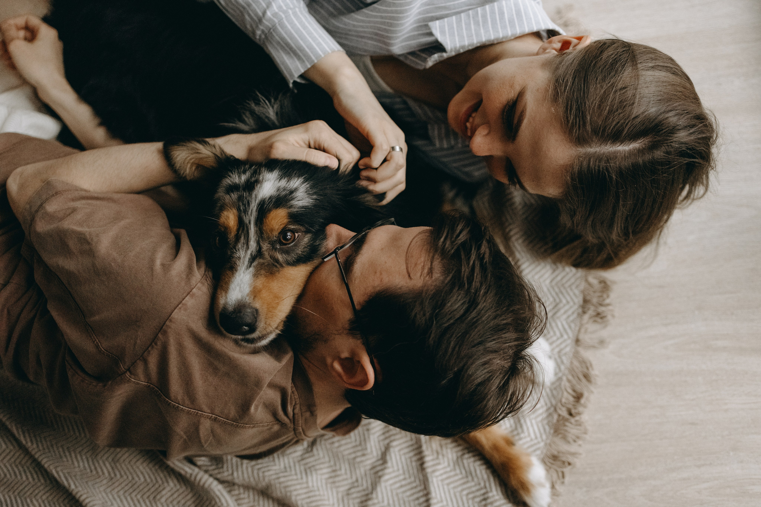 Настя, Никита и их Гром и Мяу. Фотограф — Анималист | Санкт-Петербург