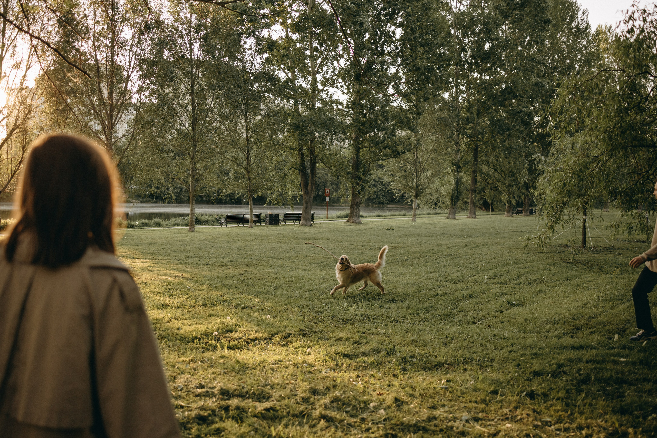 Пенни и ребята. Фотограф — Анималист | Санкт-Петербург