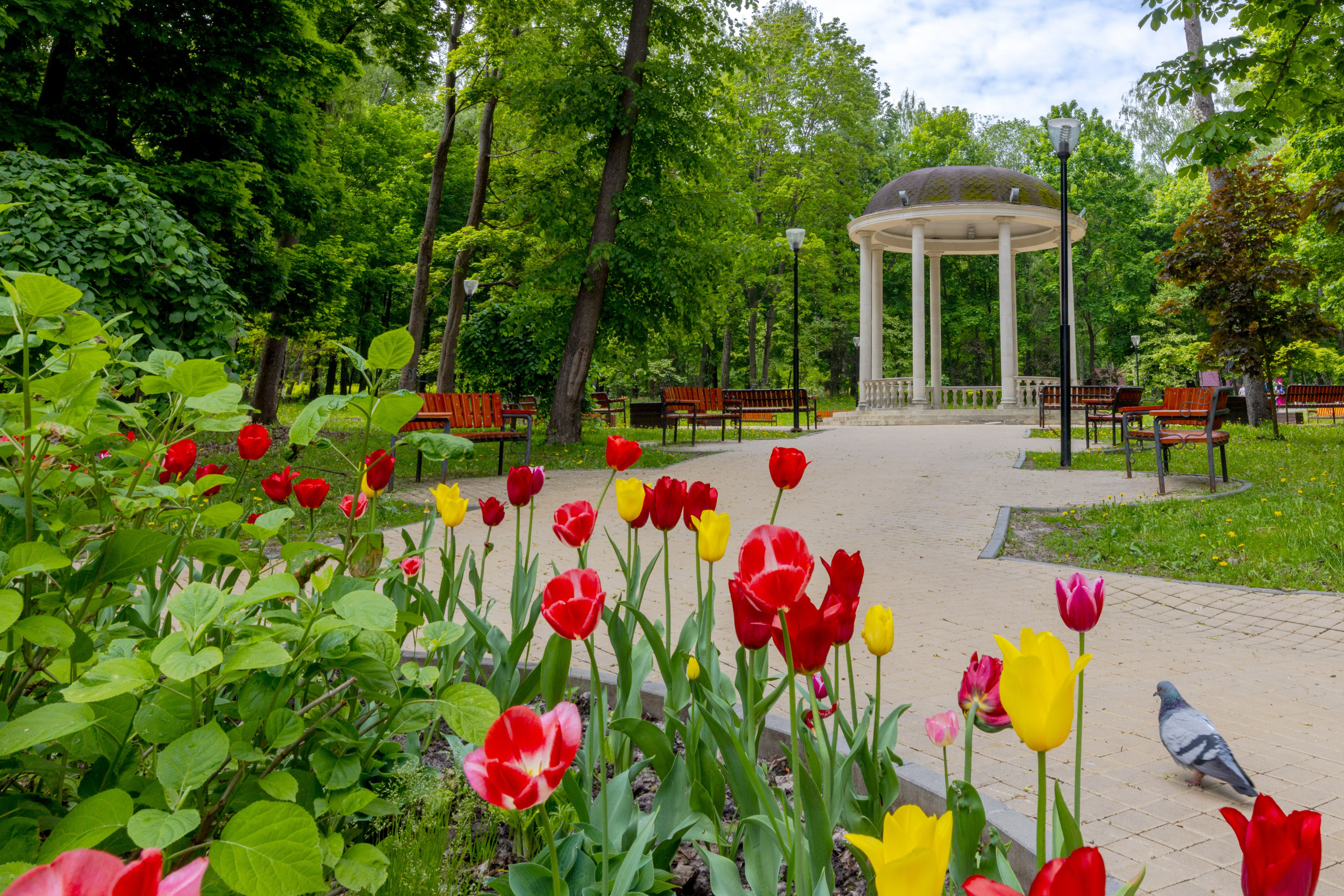 Парк им. П. П. Белоусова г. Тула 2024 г. Фотограф в Туле Крупский АнДРей. Фотостудия «КАДР71» в Туле