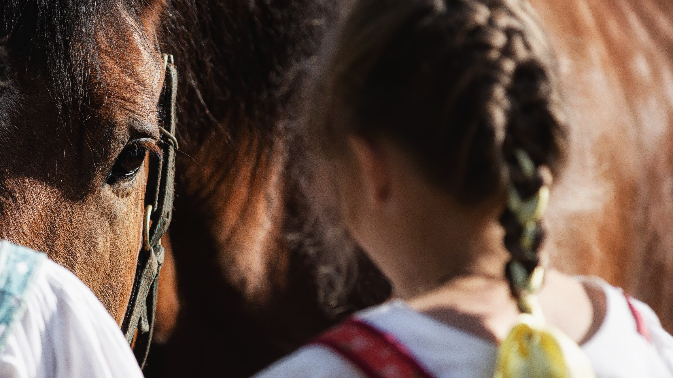 Мечта. Фотограф — путешественник Светлана Романовская