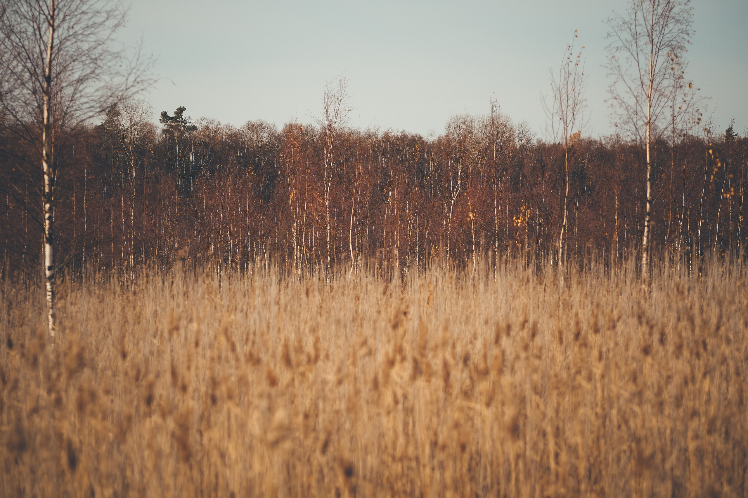 Раковые озера. Свадебный фотограф Копков Геннадий