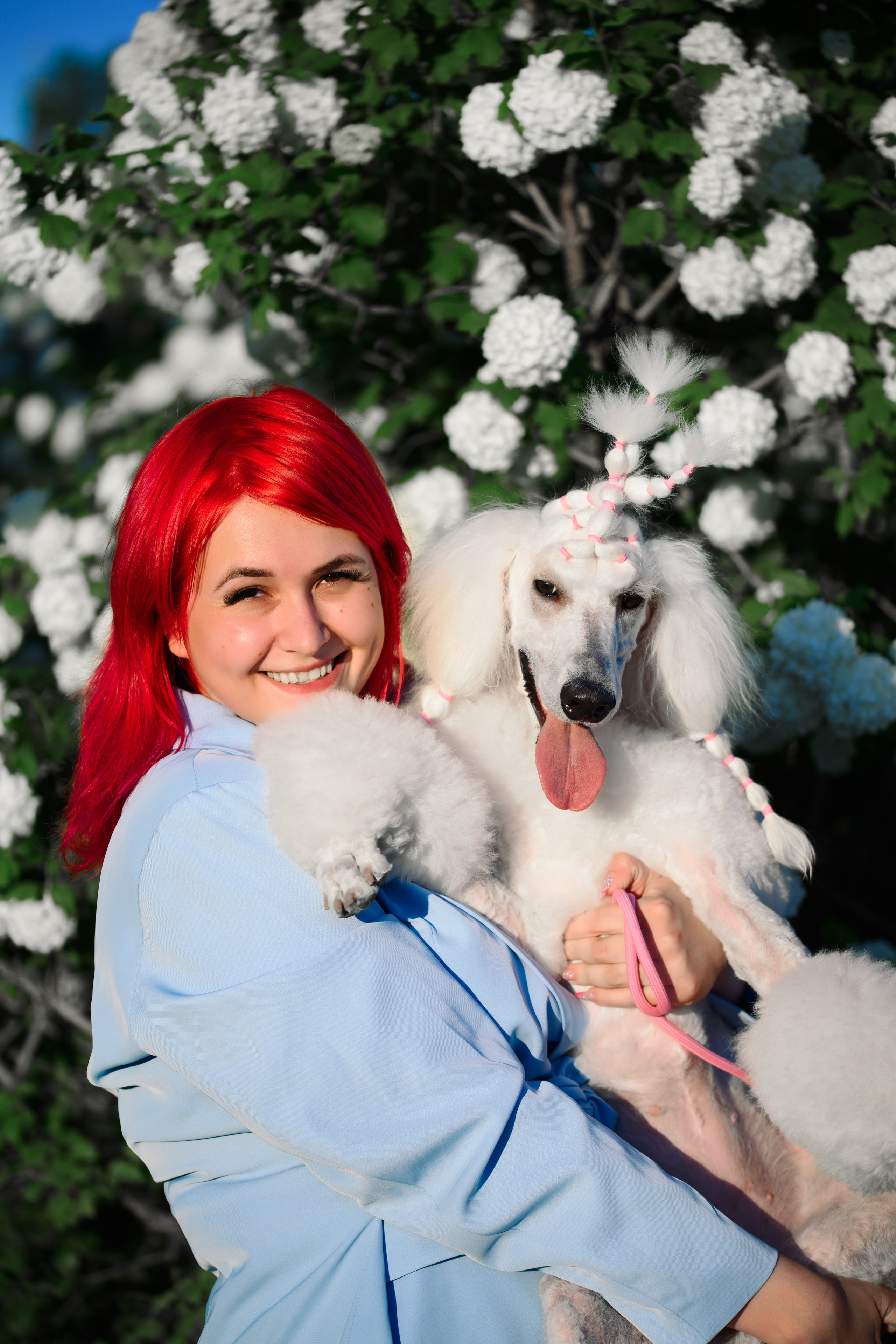 Собаки. FASHION ФОТОГРАФ КАЗАНЬ