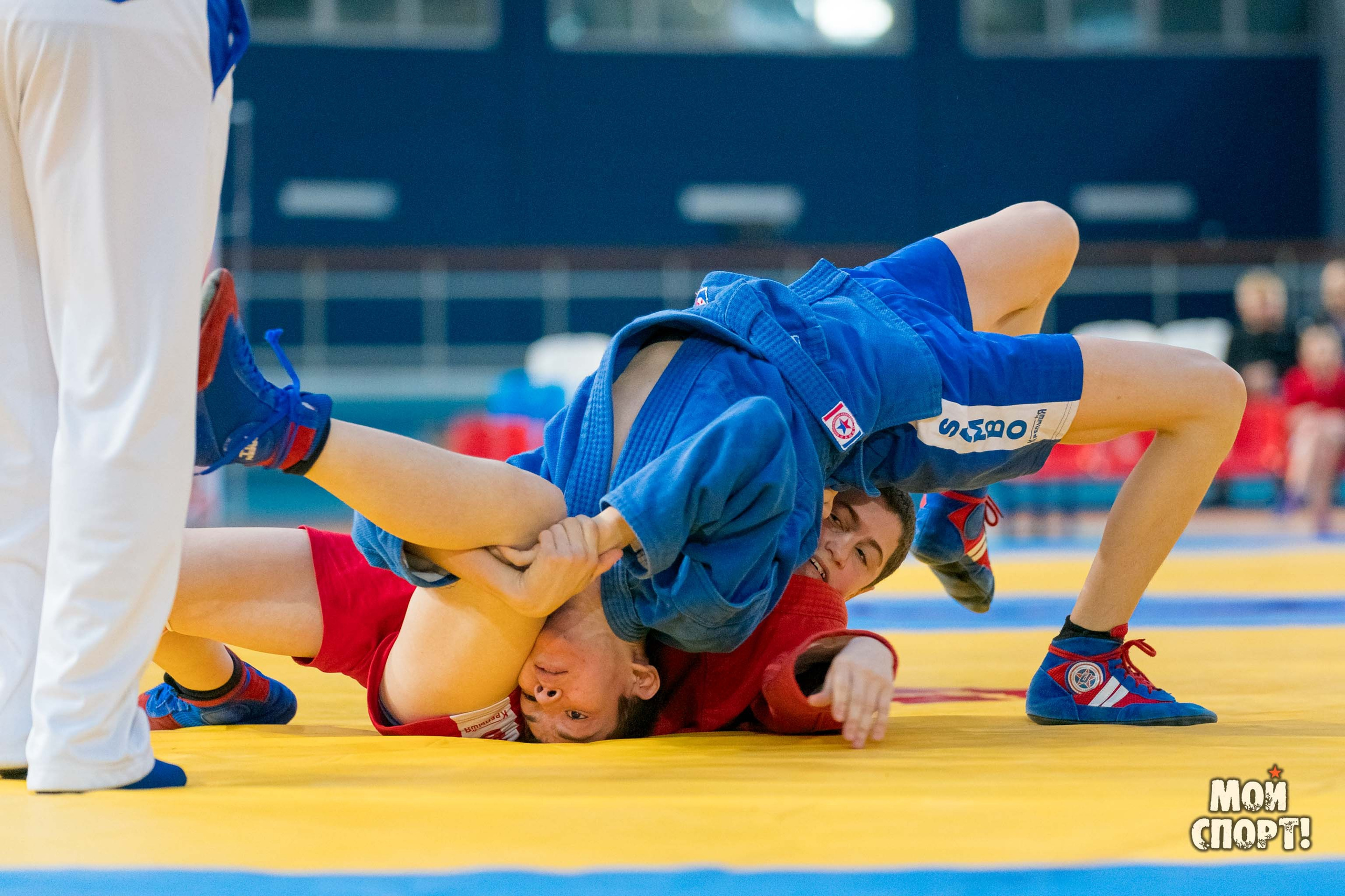 Всероссийские соревнования по самбо «Победа». Студия «Мой Спорт!» — все о спорте в Якутии