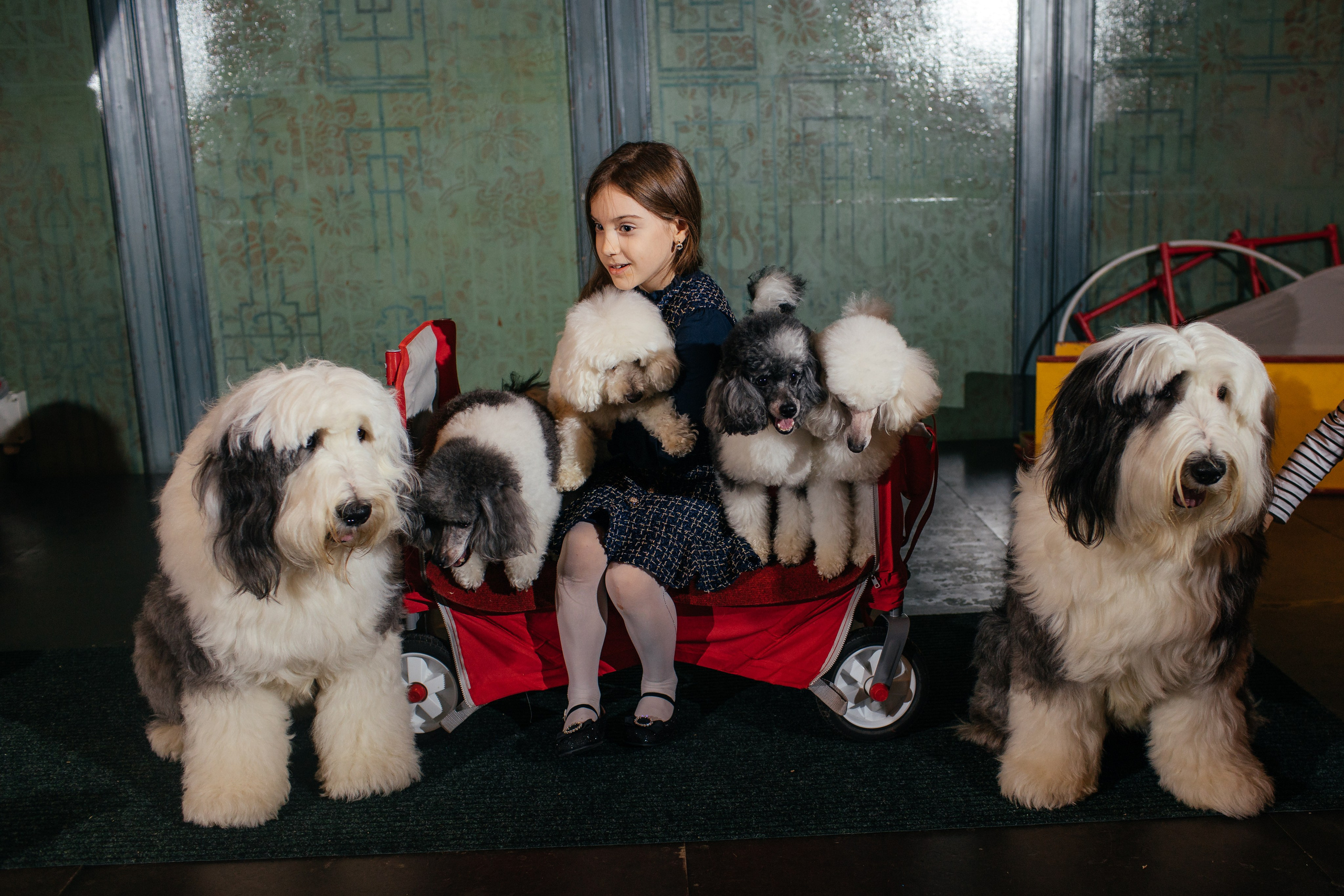 Алине 7 лет. Свадебный и семейный фотограф