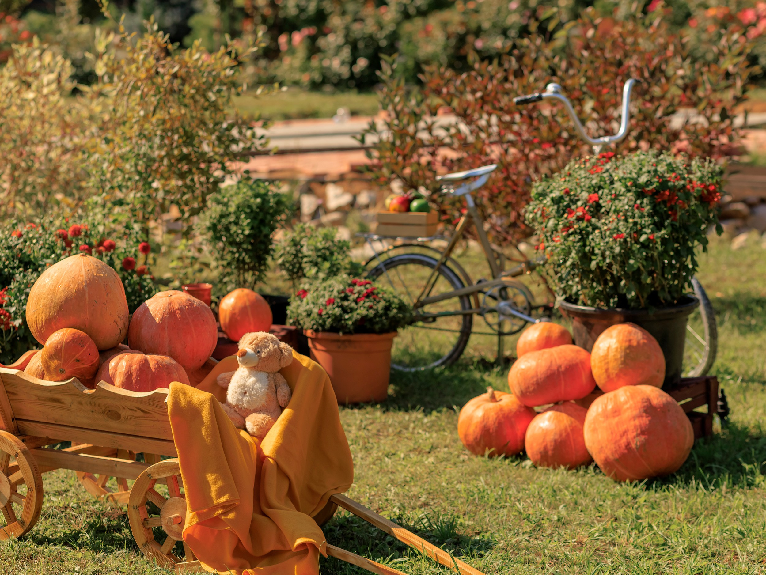Парк-заповедник Купидон. Семейный фотограф в Димитровграде Елена Патрушева