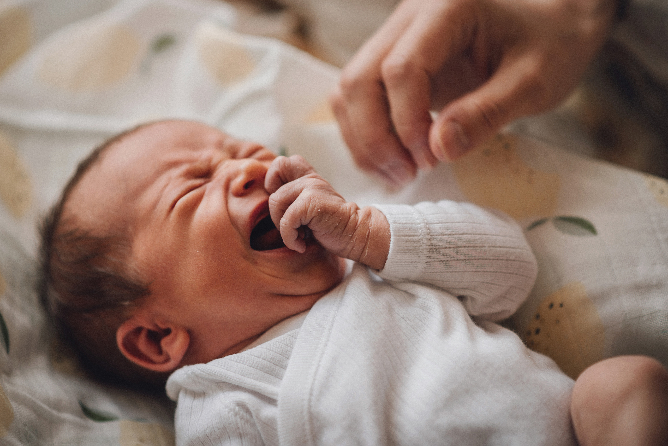 Семейная фотосессия. Главная