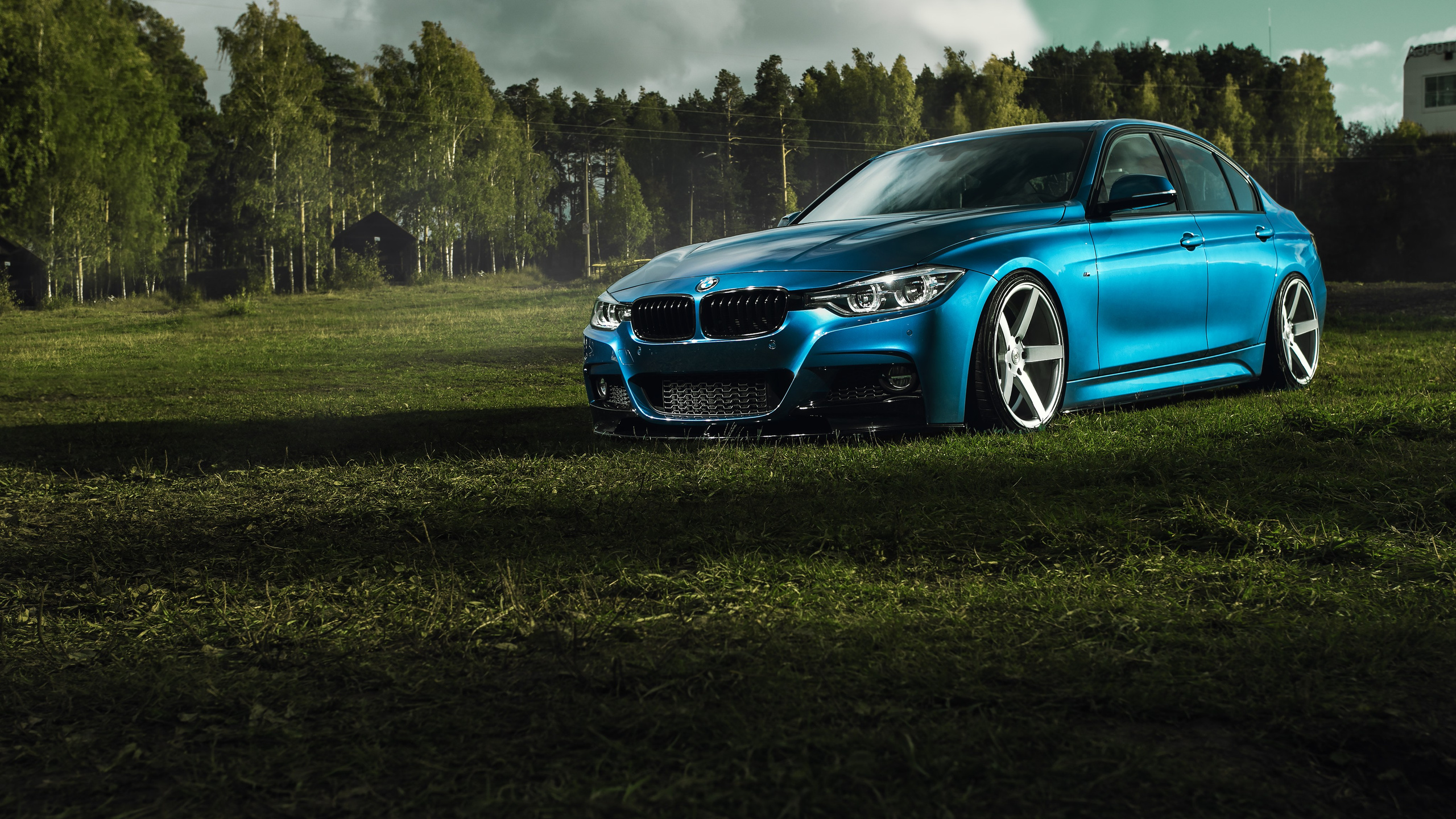 Авто. Tony Mikhailov