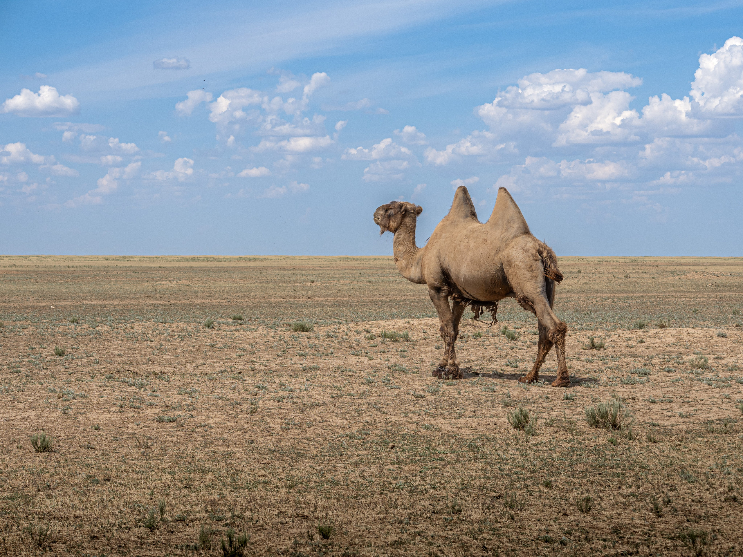Эльтон 2024. Творческие сьемки