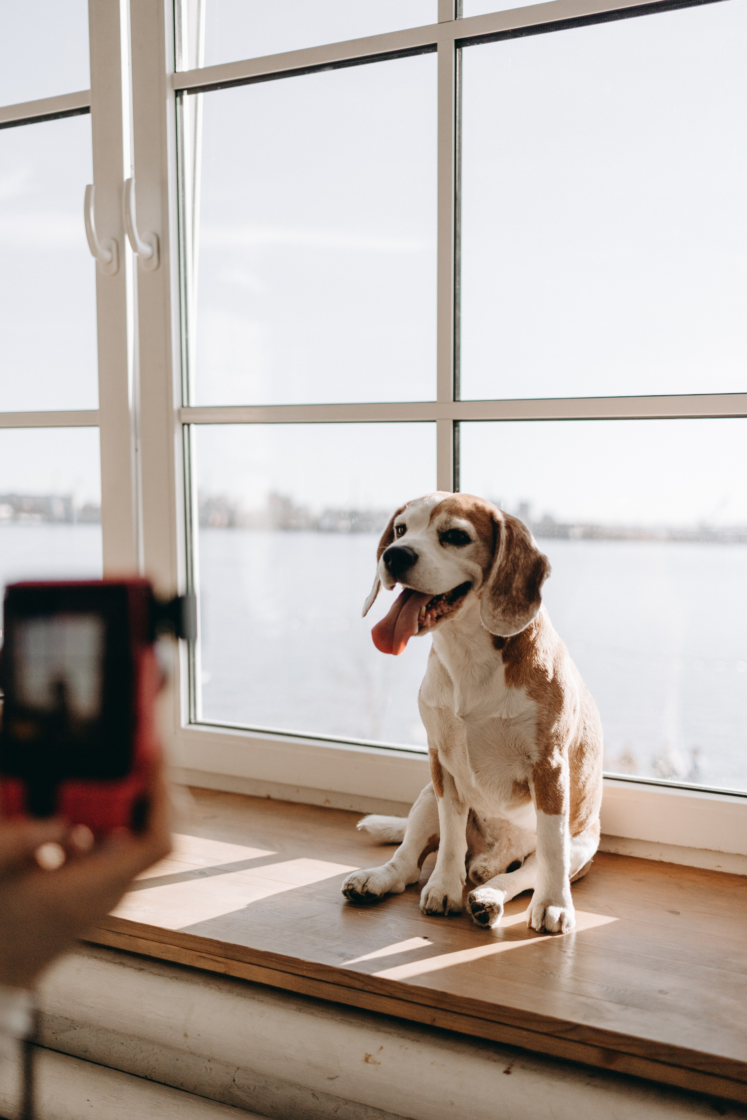 Даня и его семья. Фотограф — Анималист | Санкт-Петербург