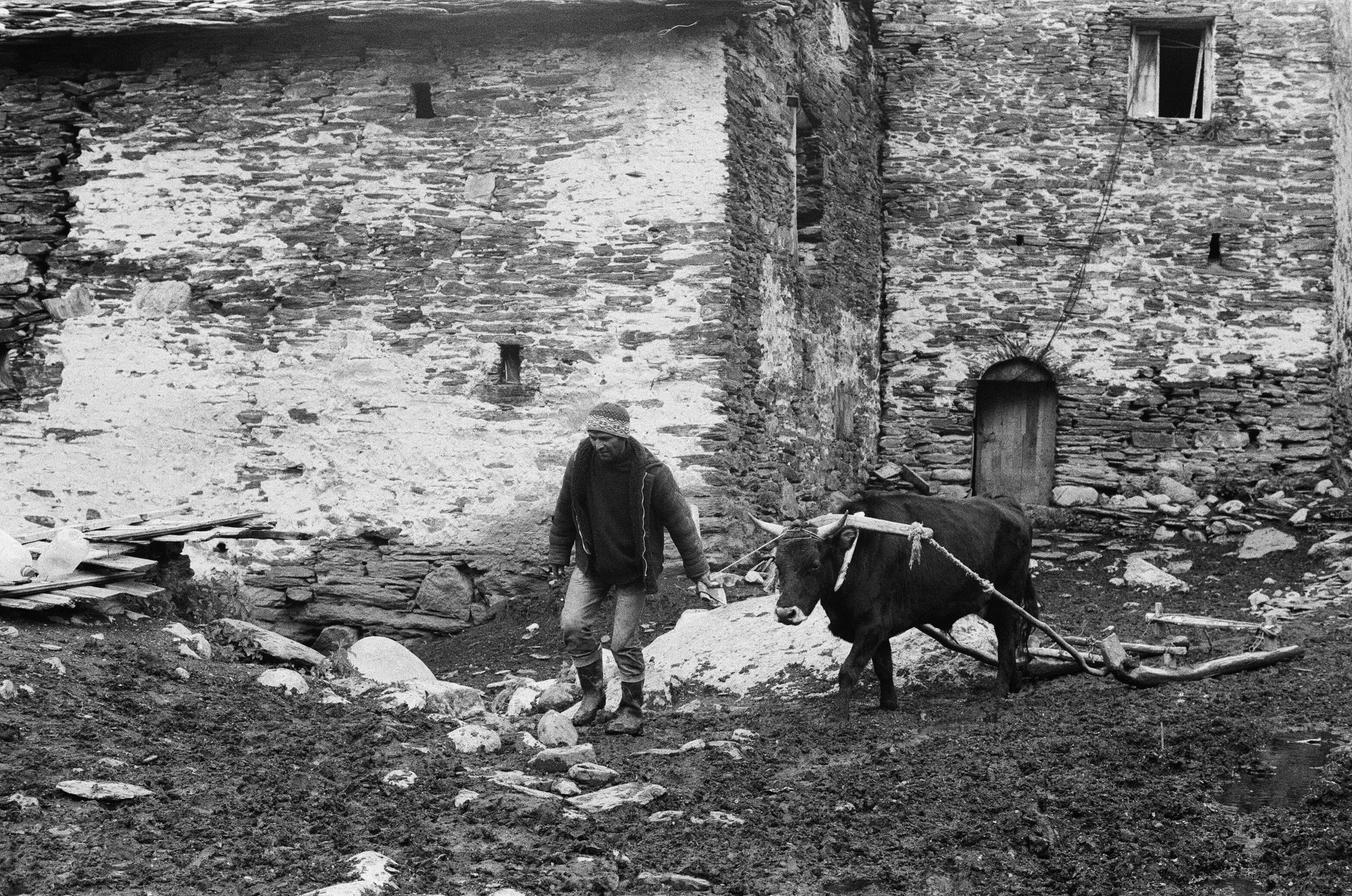 Aleksander Chernov — Documentary filmmaker and photographer