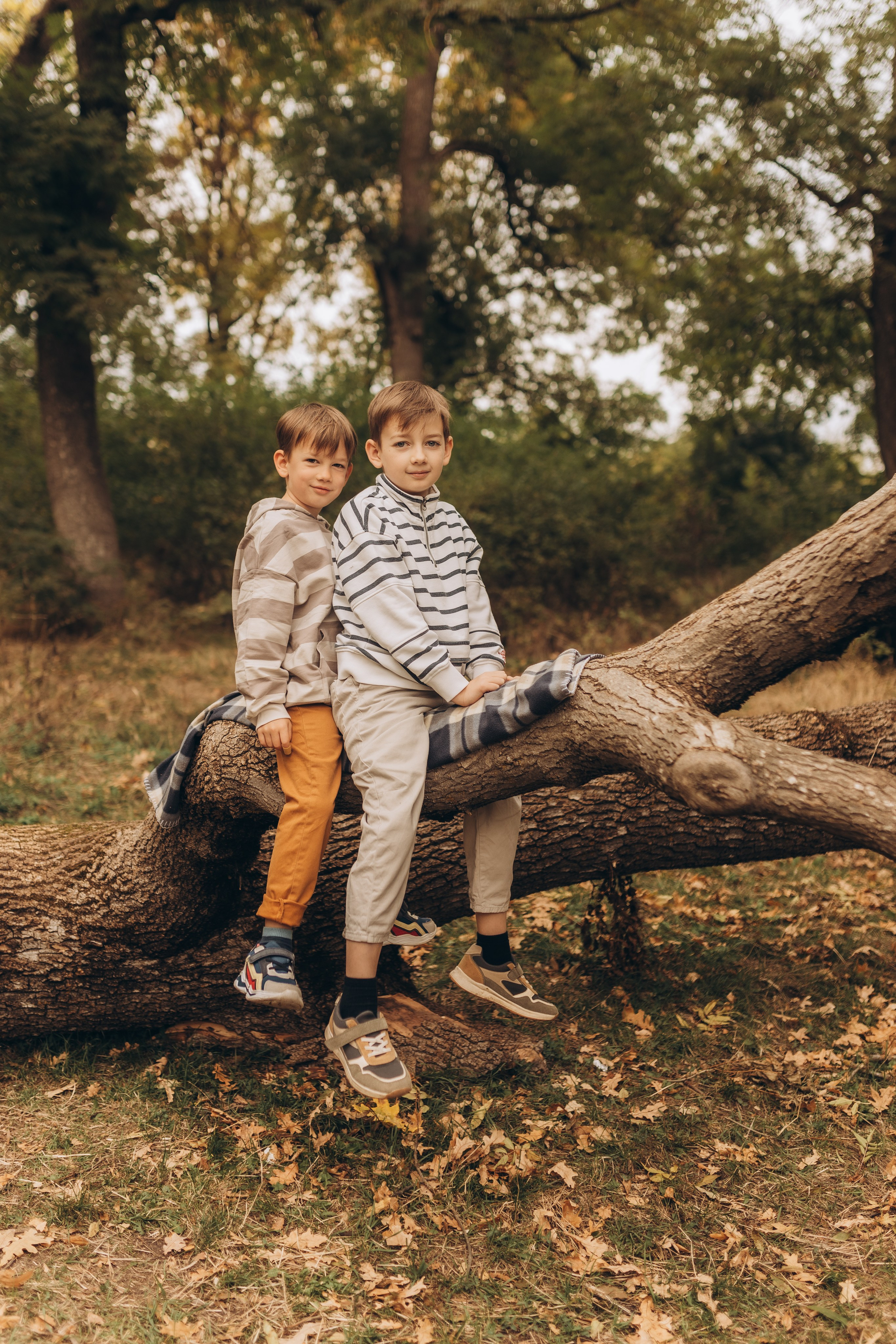 Осенняя семейная история в ожидании чуда. Фотограф в Ставрополе Svetlana Matveeva