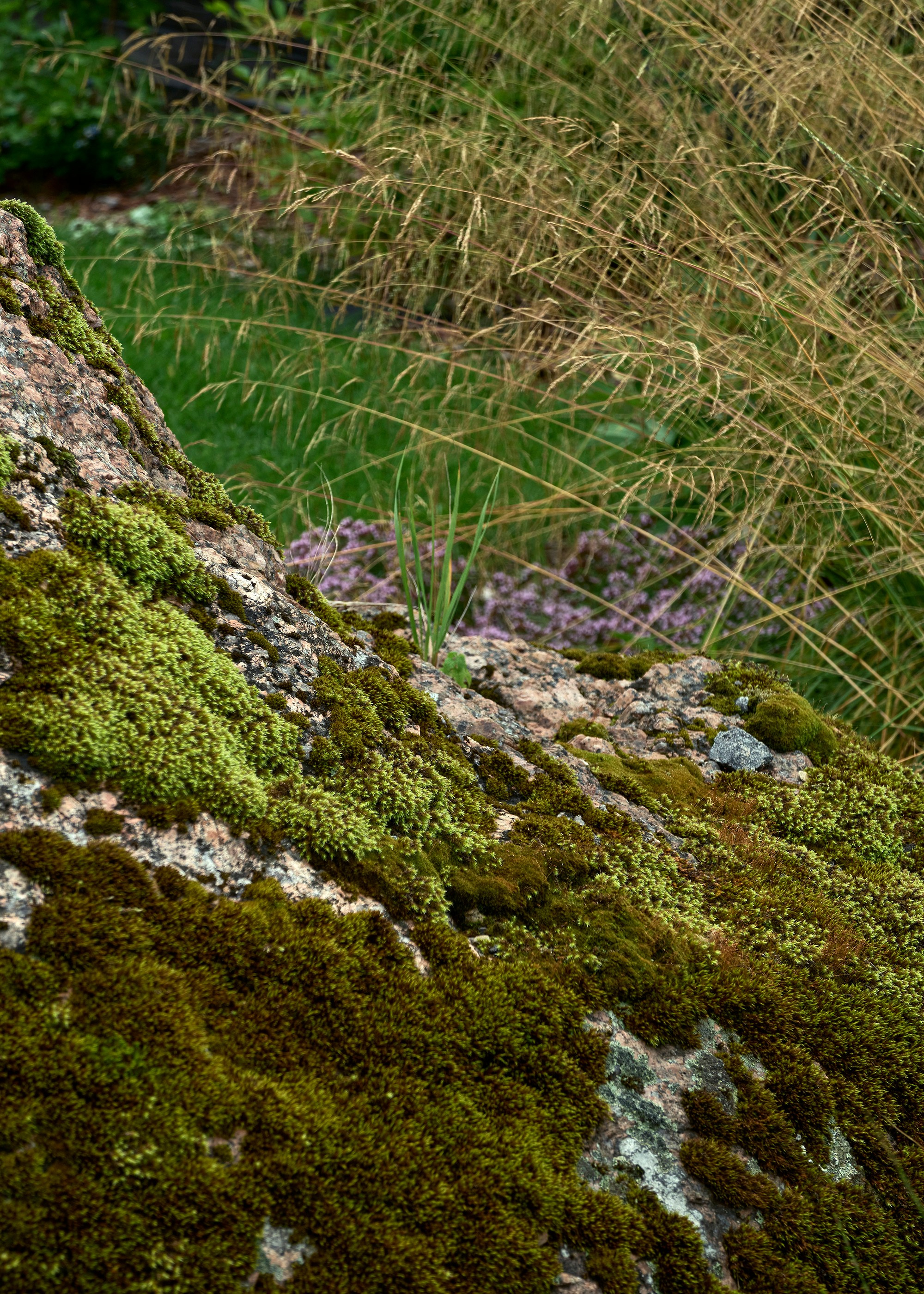 Ландшафтный и интерьерный фотограф Наталья Соловьева. Фотосъемка частного сада под Гатчиной для Таисьи Игошиной | interioto