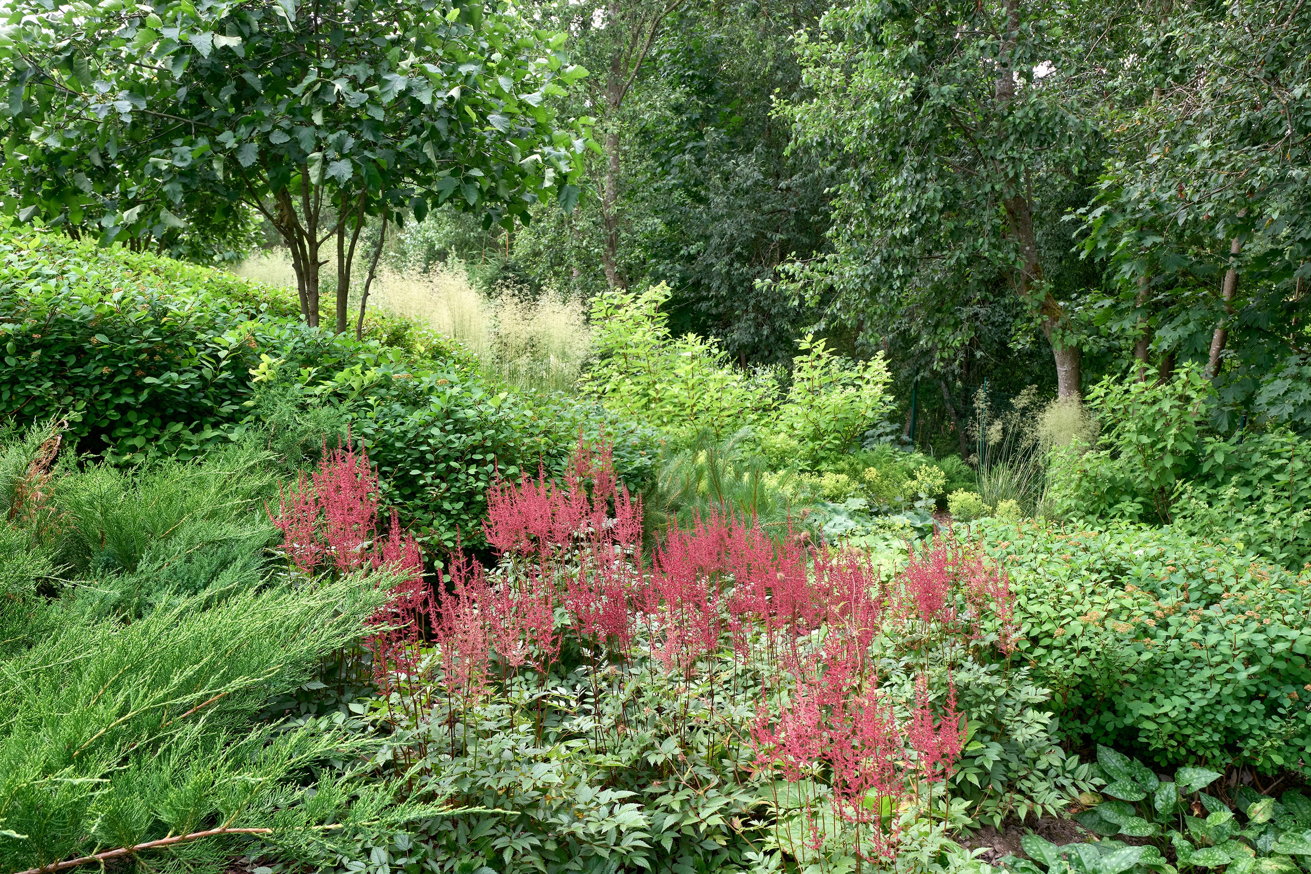 Ландшафтный и интерьерный фотограф Наталья Соловьева. Фотосъемка частного сада в&nbsp;Ломоносовском районе для ландшафтного дизайнера Анаит Акопян и&nbsp;студии ВСЕВСАД | interioto