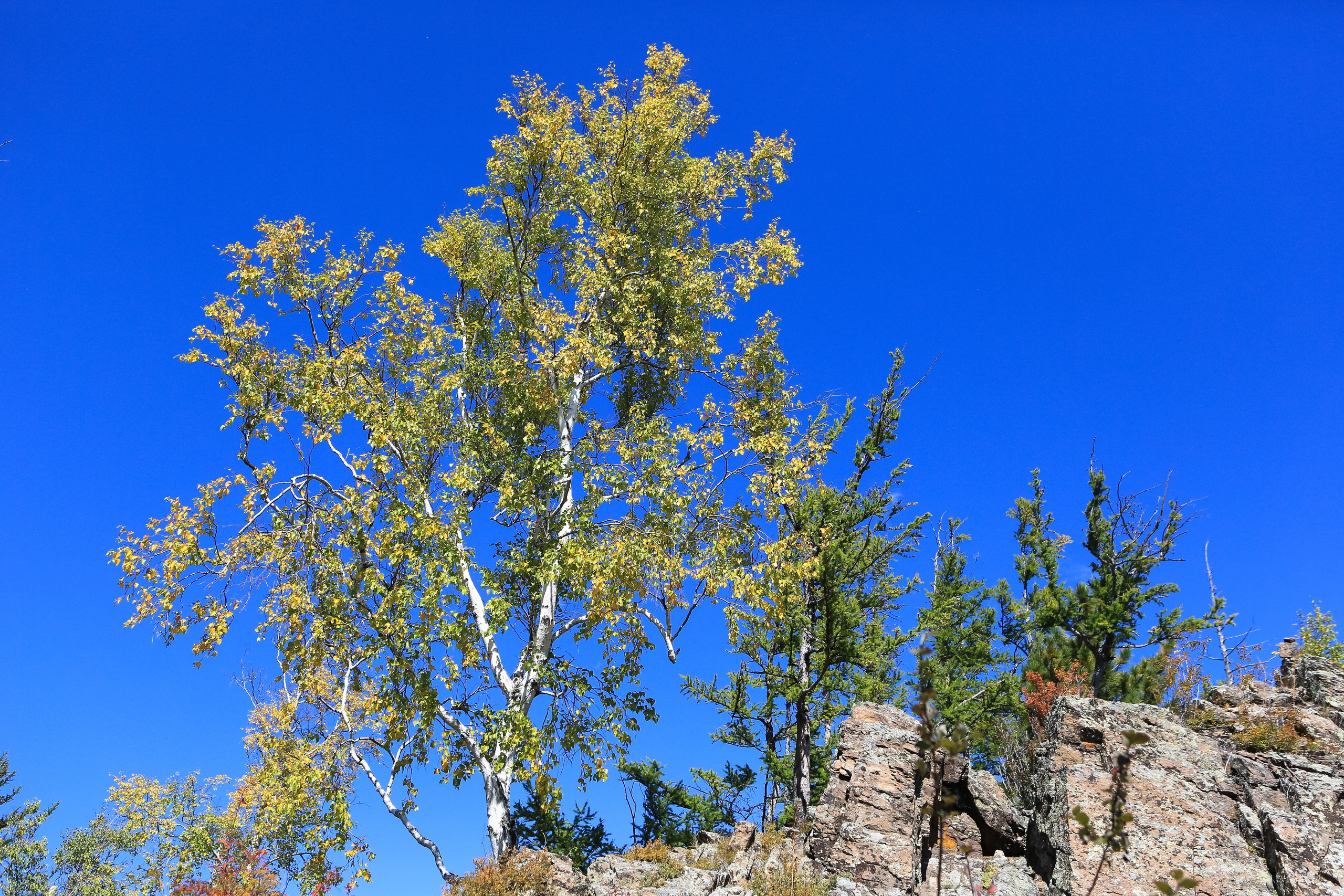 Фото Природы Забайкалья. Студия Максима Белослюдцева