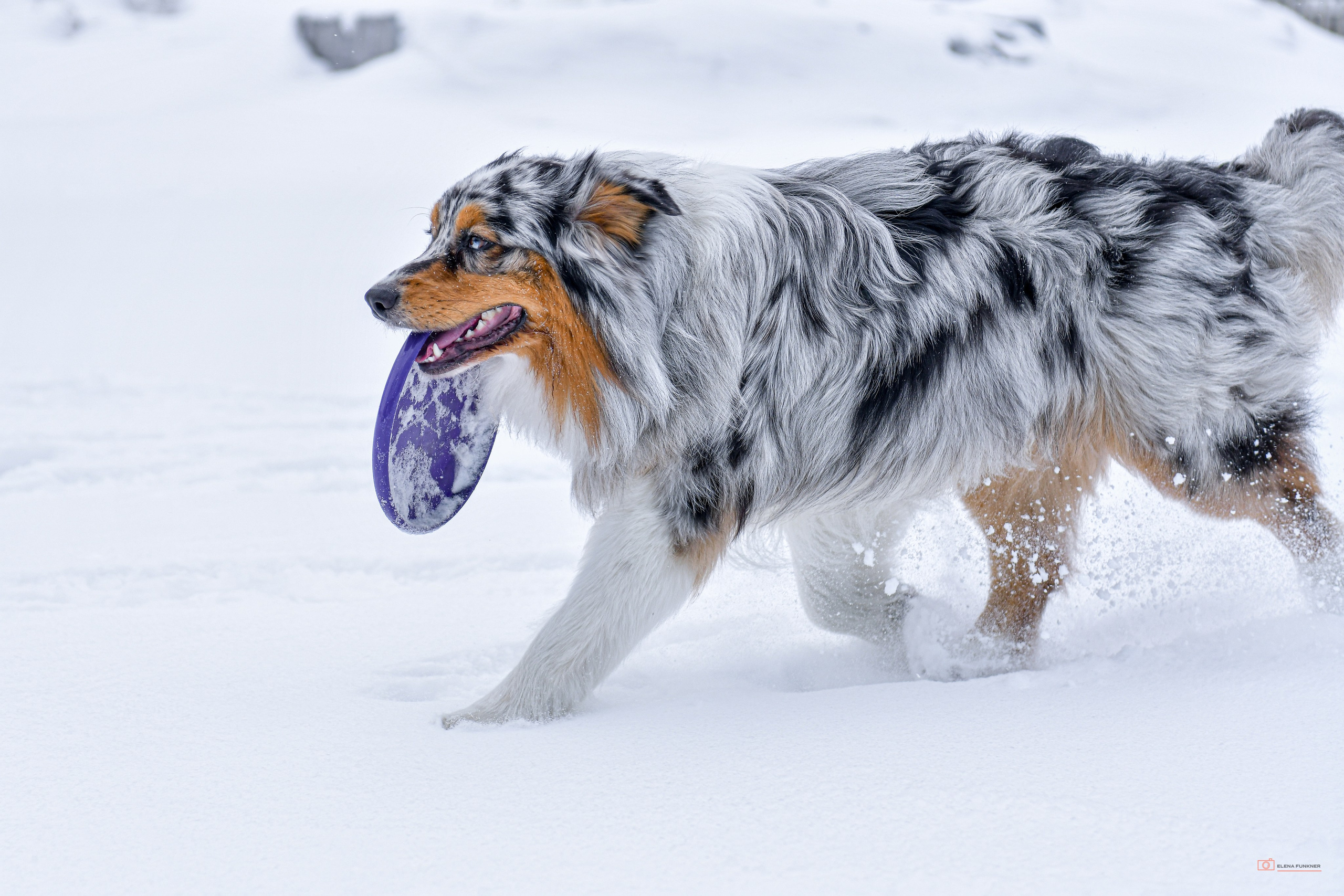 Зима. Свой взгляд через объектив