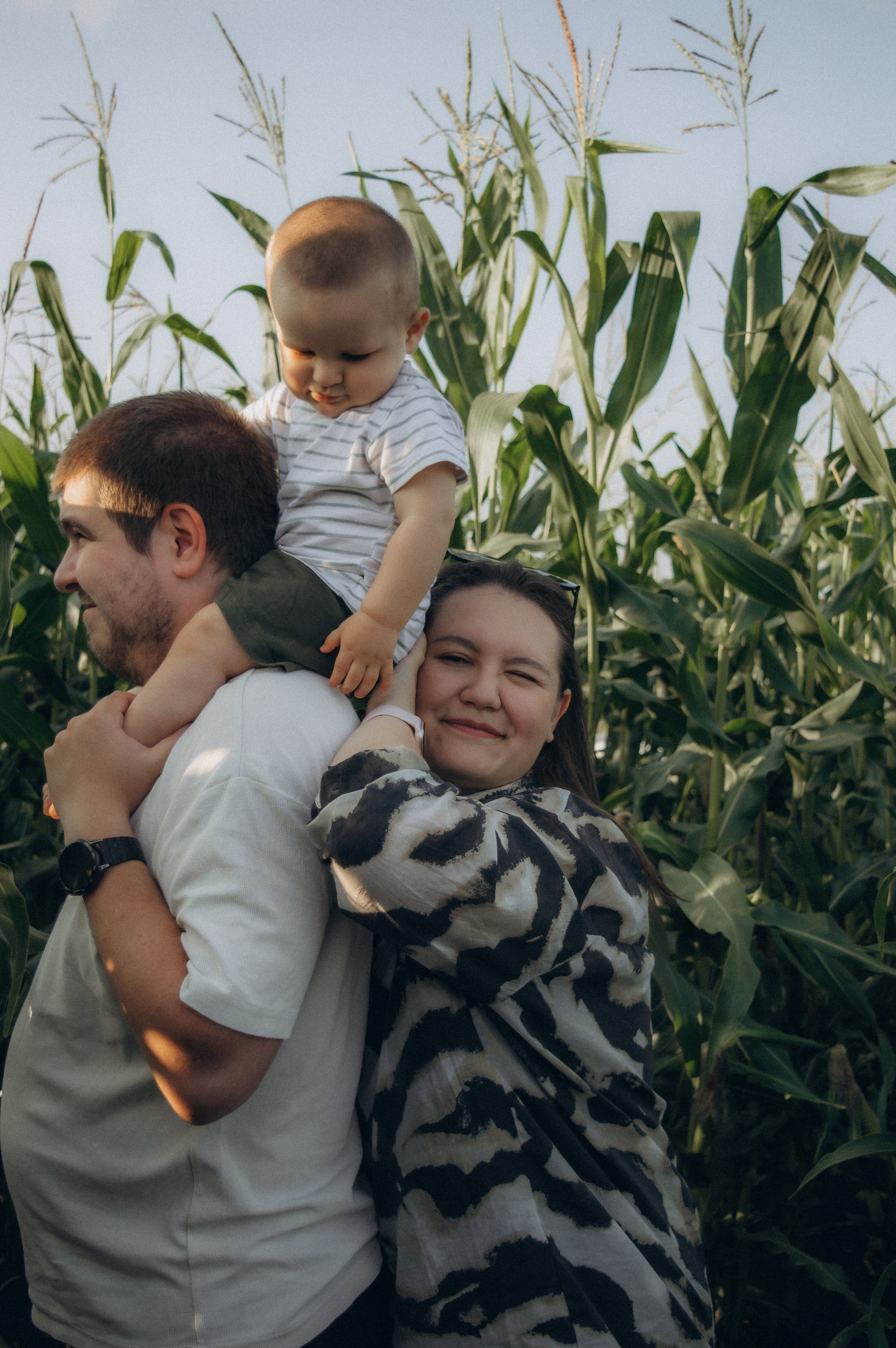 Лето, семья, кукуруза. Семейная летняя фотосессия. Юлия Левада Семейный и женский фотограф