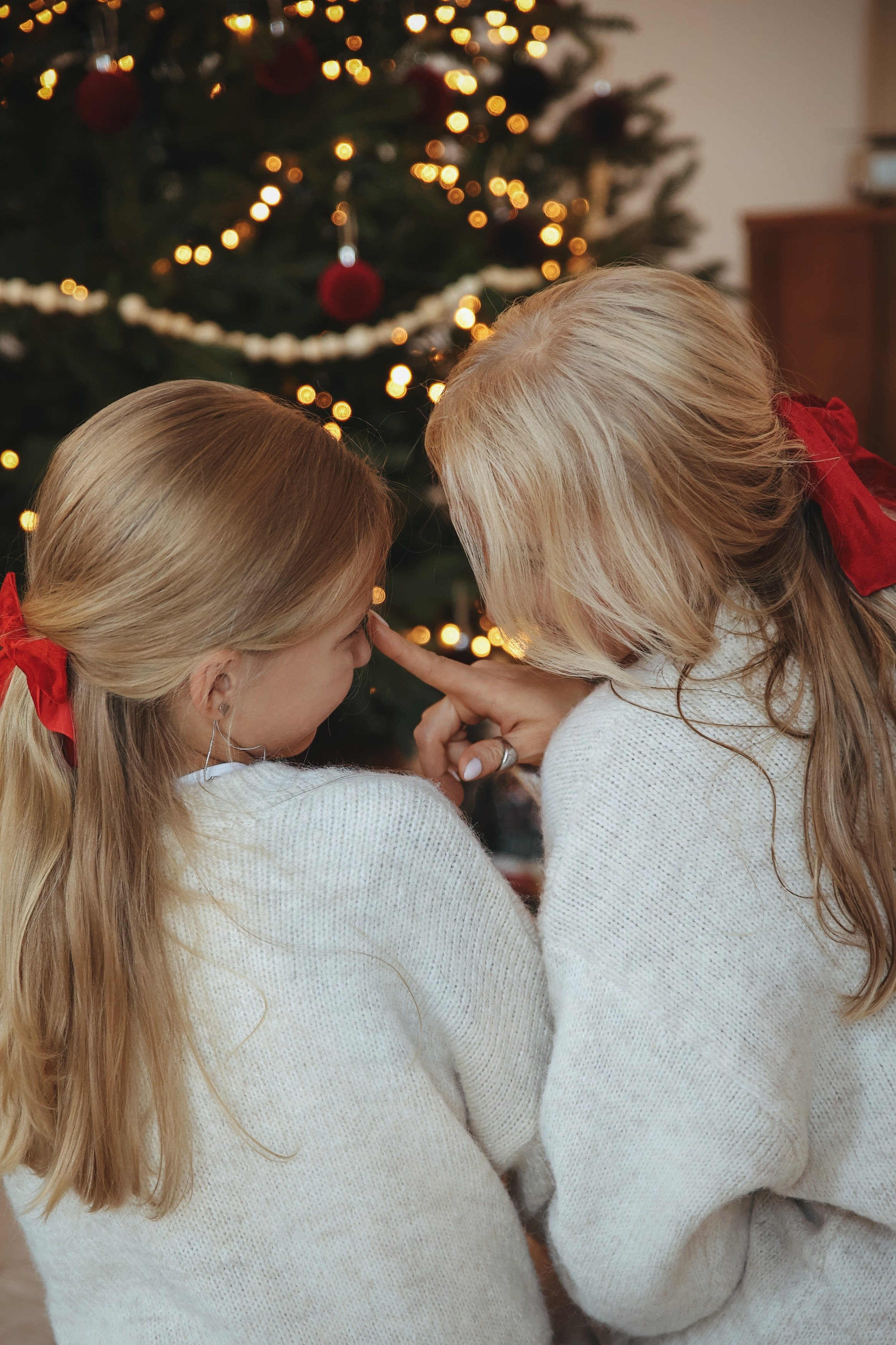 Новогодняя фотосессия во Владимире съемка на новый год фотосессия в студии фотограф во Владимире фотограф в Москве корги. Фотограф Владимир Москва