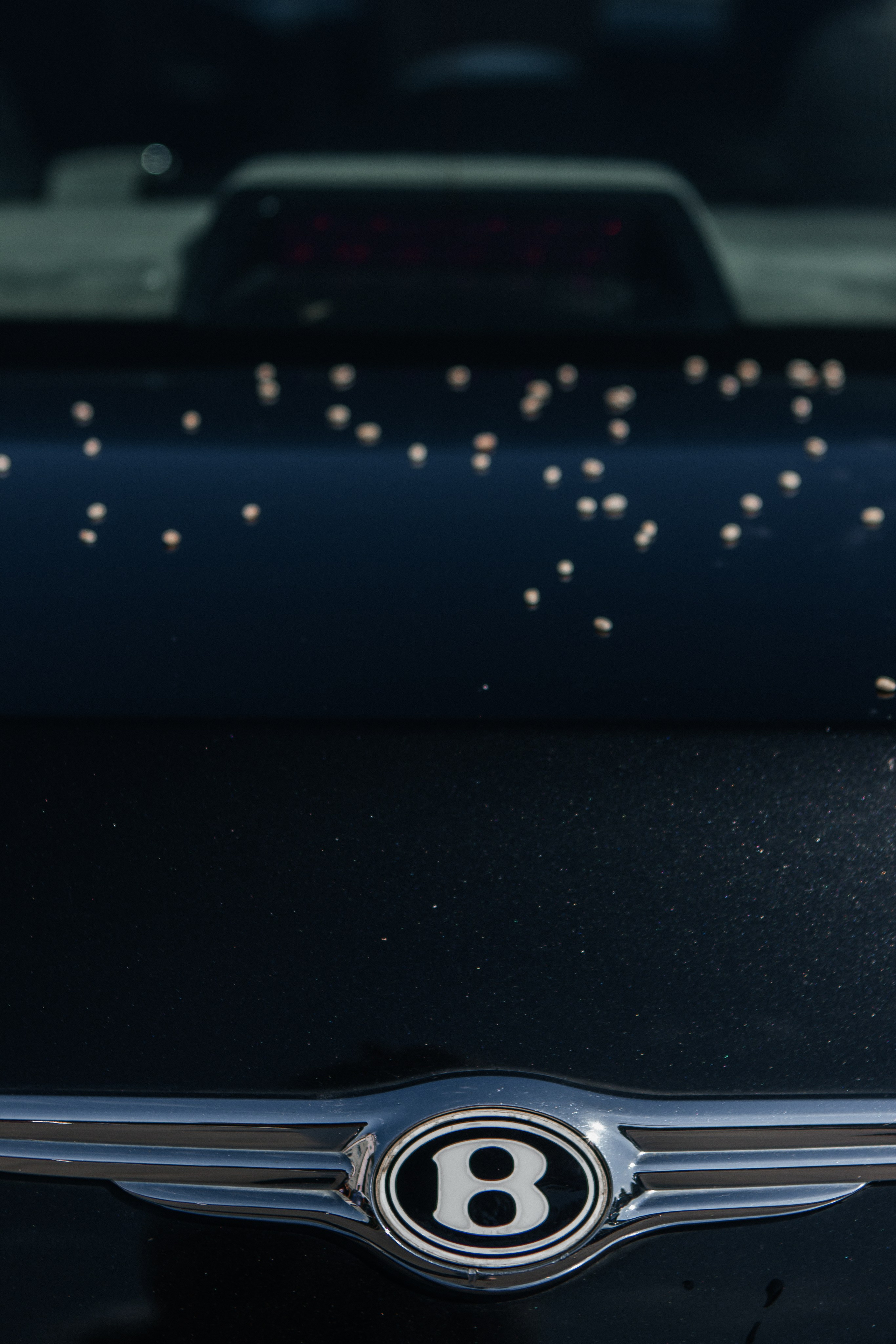 Екатерина и Антон. Свадебный фотограф в Бресте Оксана Босовец