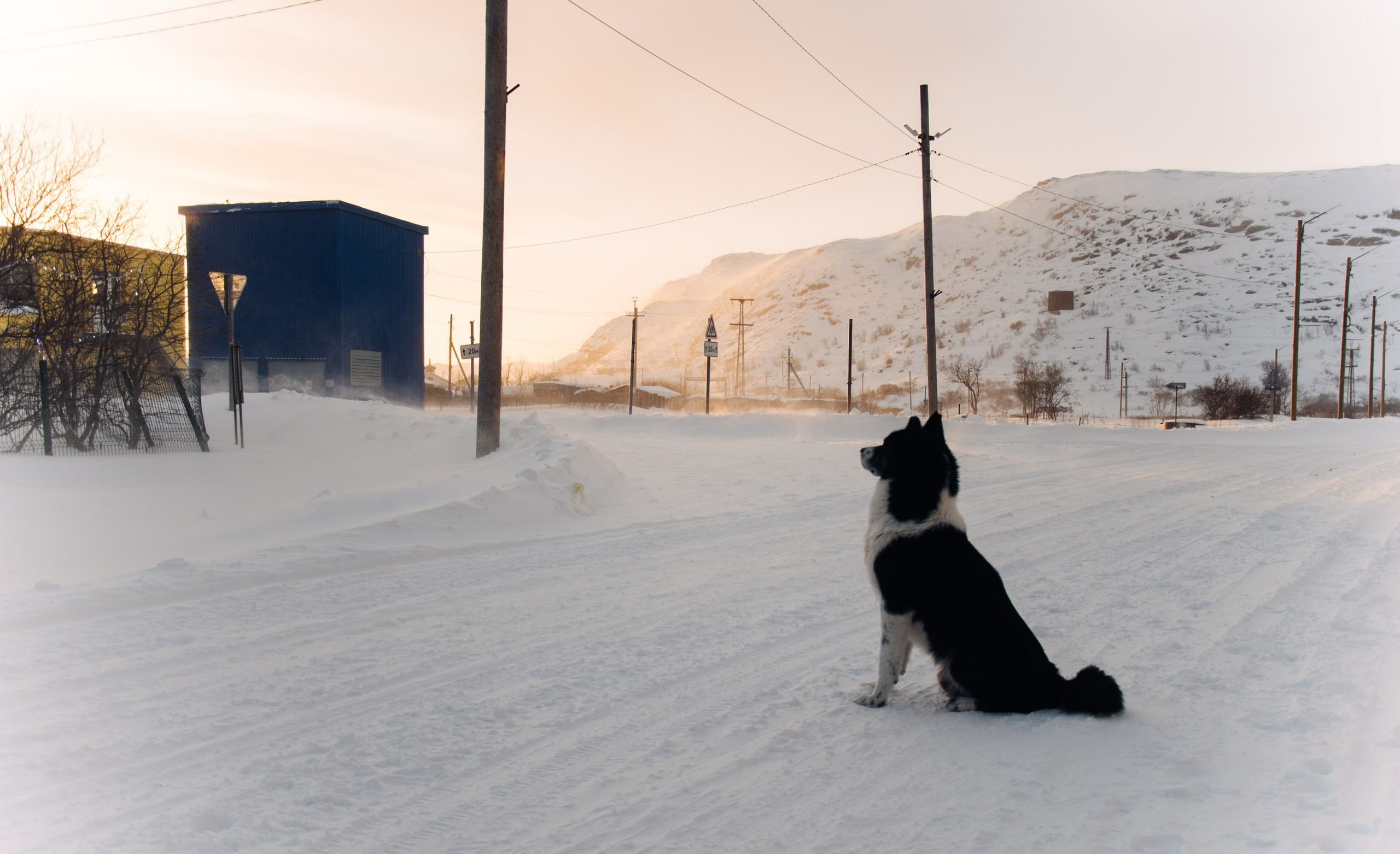 Мурманск, Териберка. Главная