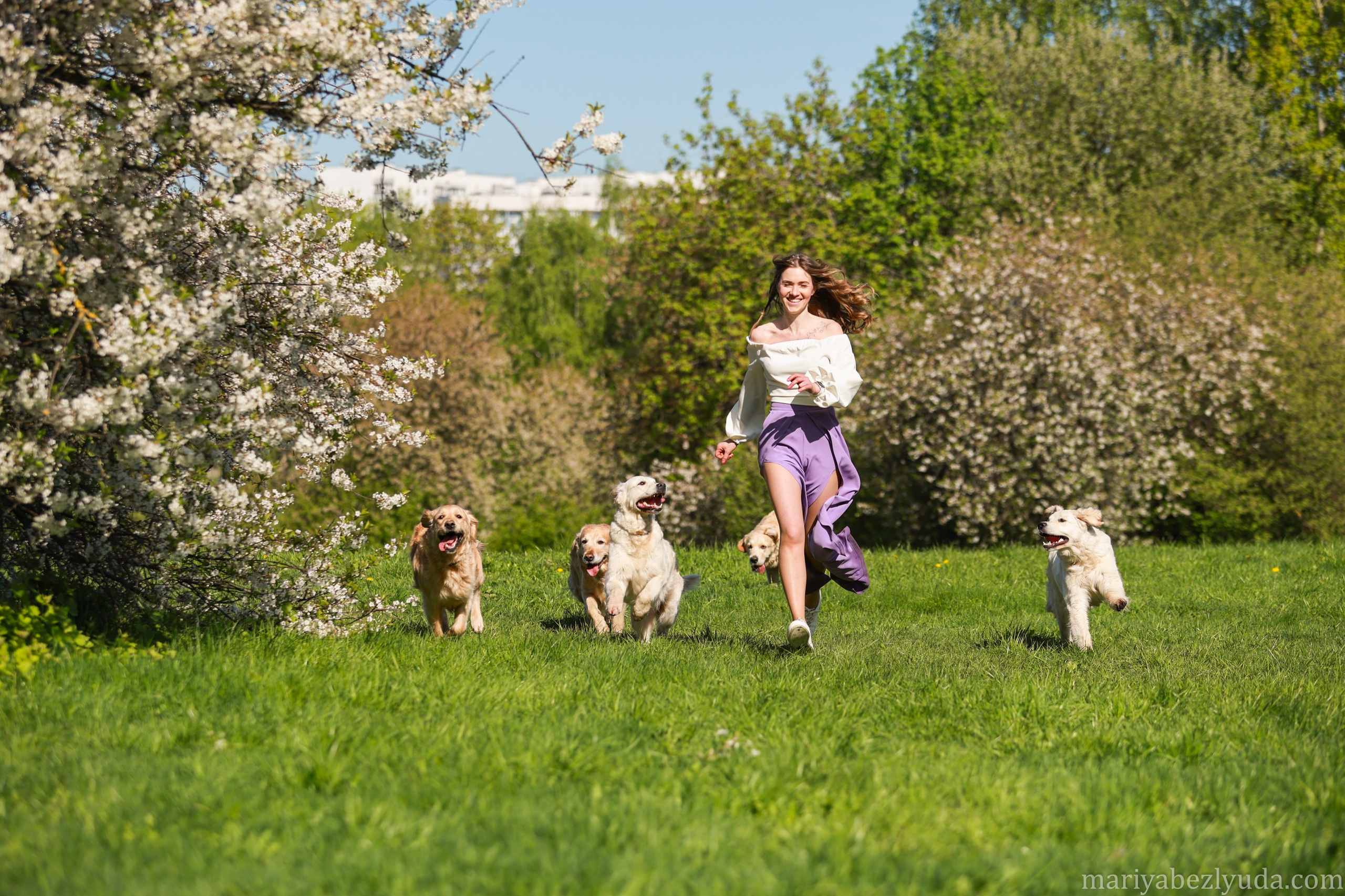 Собаки и их люди❤️. Семейный и детский фотограф в Москве Мария Быкова