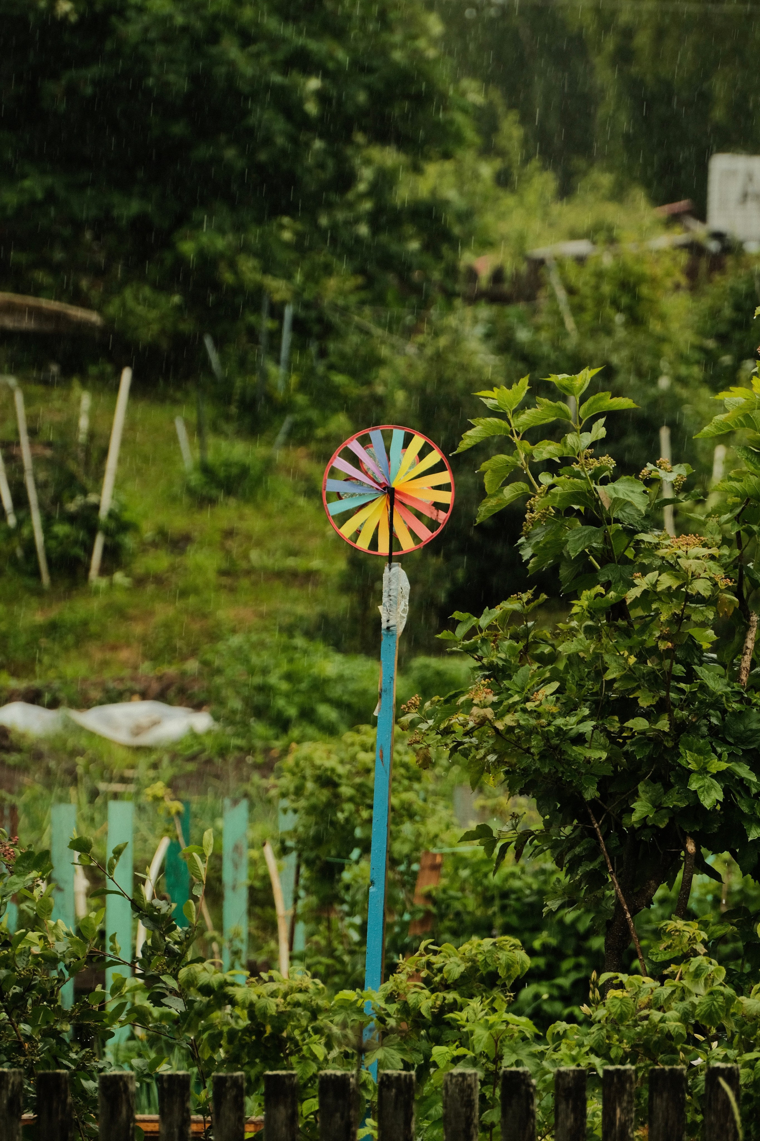 Стрит-фотография Сыктывкар. Фотограф-любитель из Кирова Андрей Погребняк