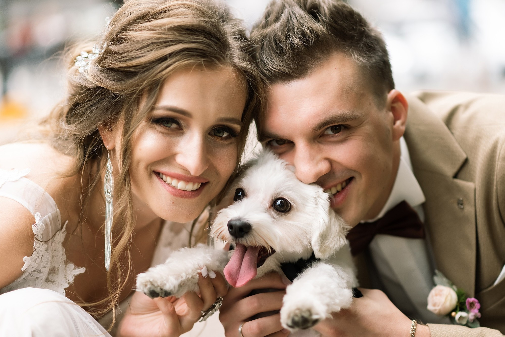 Дима и Марина. Свадебный фотограф в Белгороде Владимир Золотарев