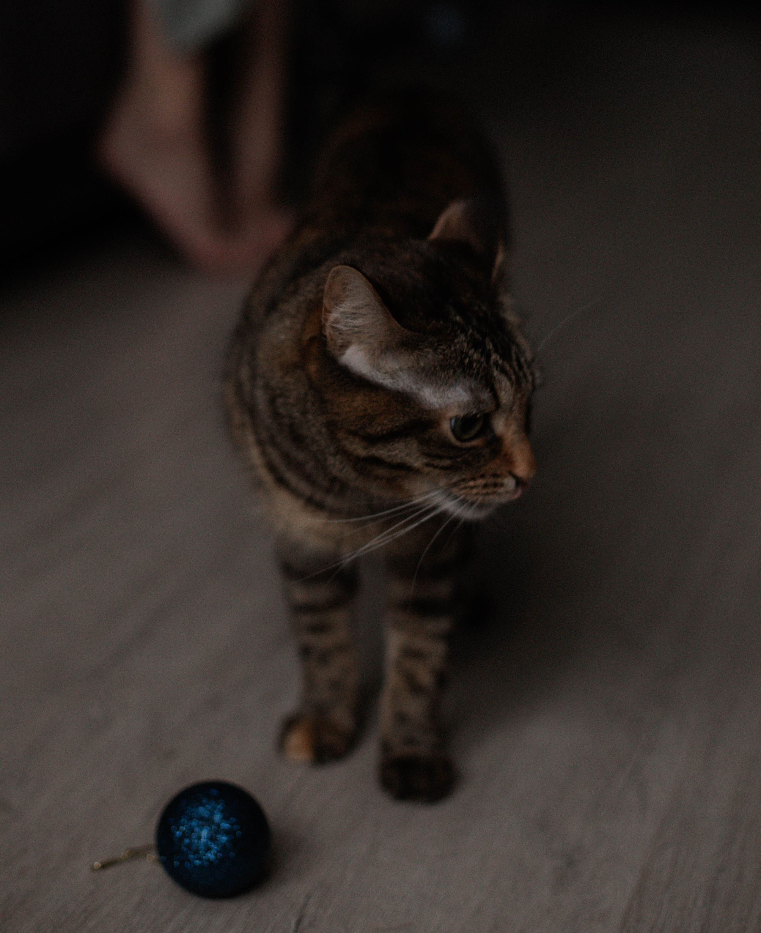 Люда и Паша. Фотограф в Санкт-Петербурге Дарья Заплитная