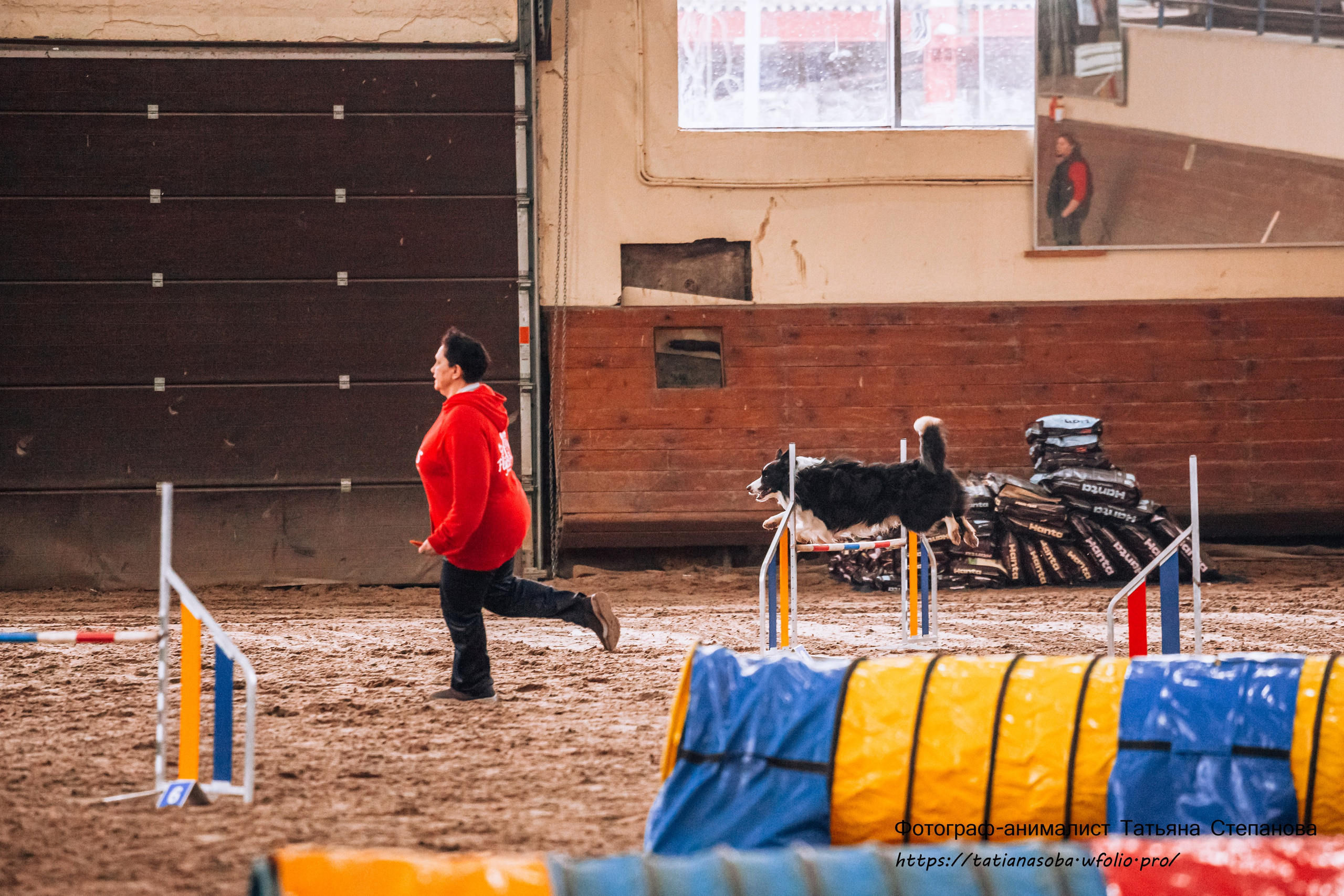 Соревнования по Аджилити 25.02.2024. Фотограф-анималист Татьяна Степанова