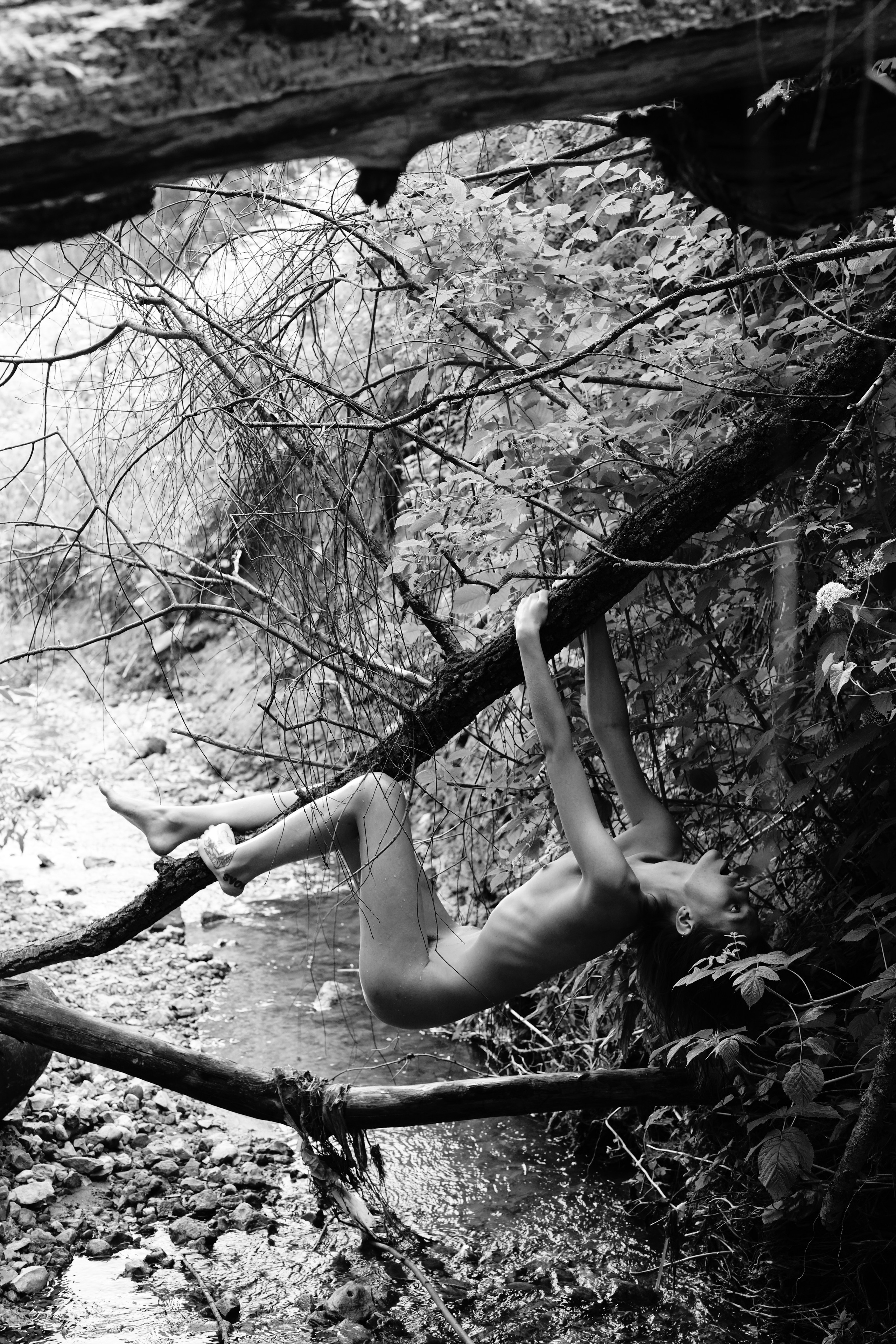 6. Photographer Dmitry Chapala