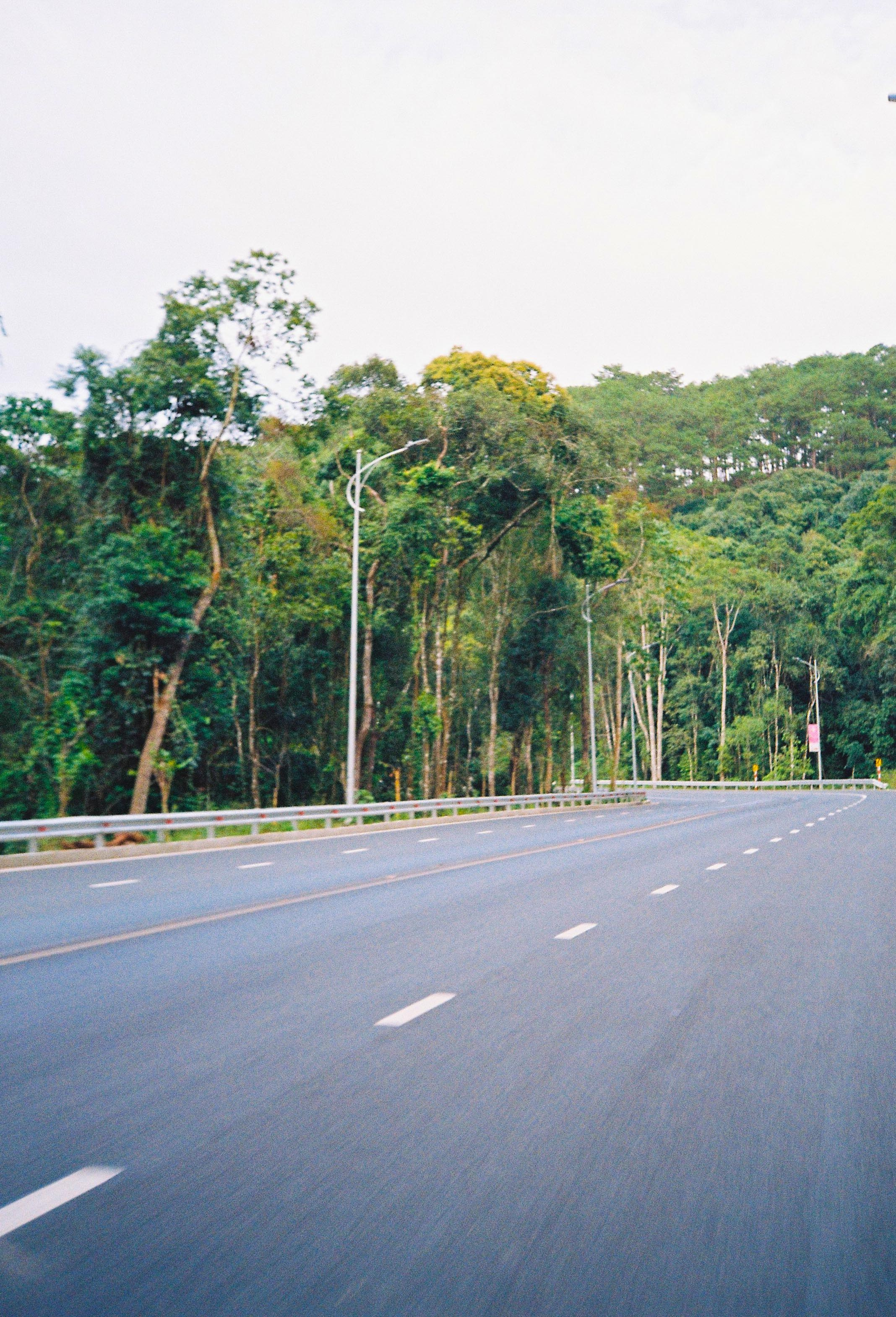 Dalat 2024. Film Photographer in Da Nang, Vietnam — Tanya Parfenteva