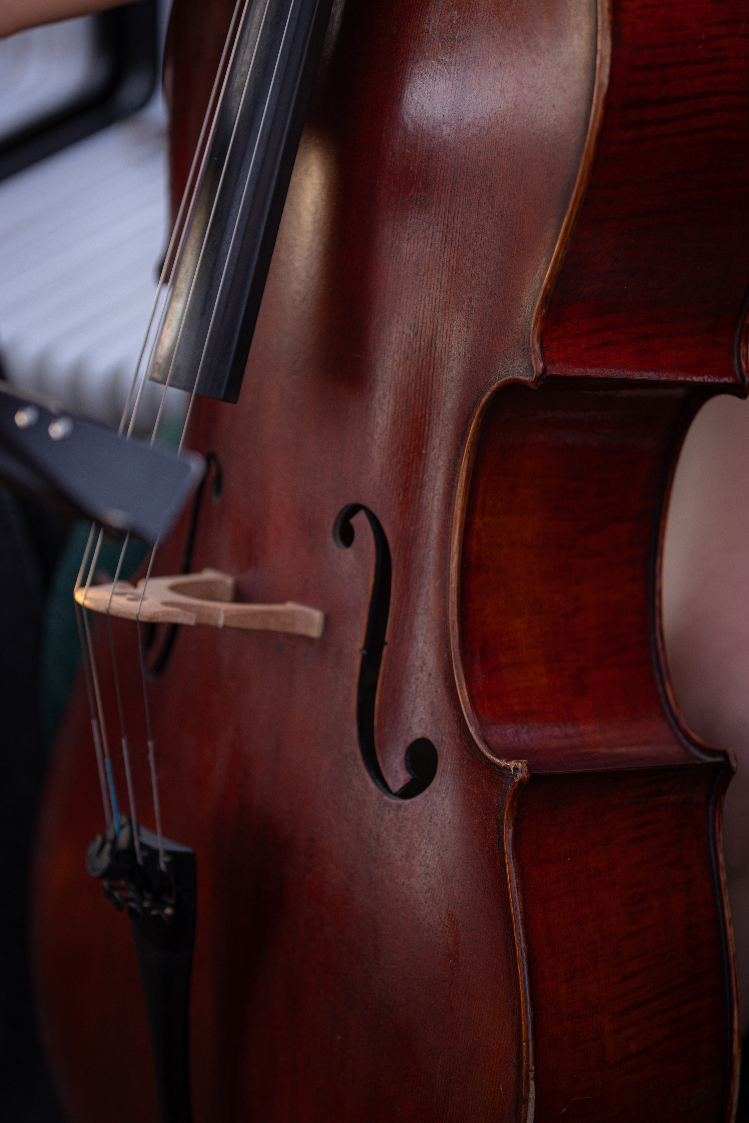 ПМЭФ'24. Ваш фотограф — Александра Андрущенко