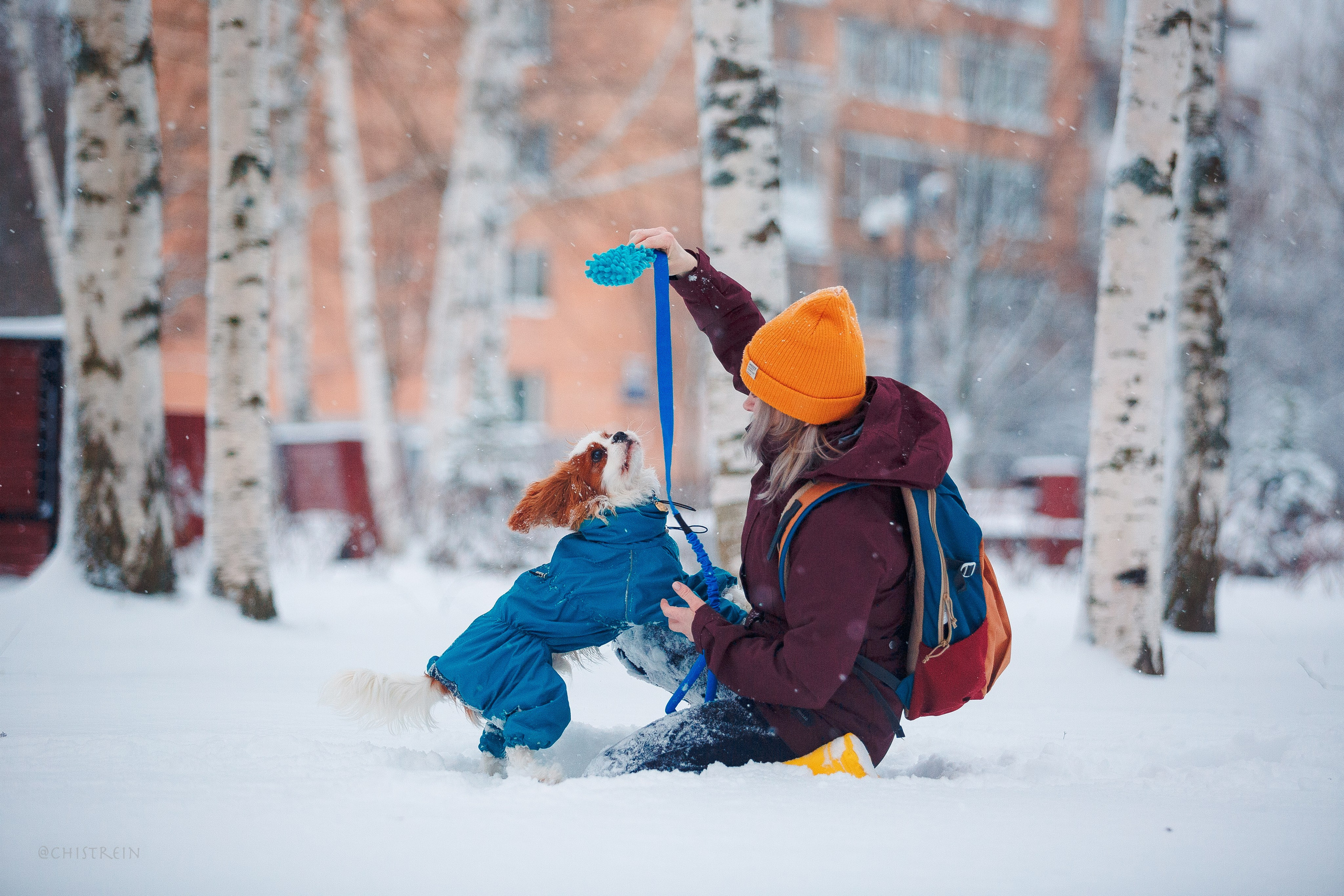 Внезапно апрельская зима. Фотограф-анималист Наталия Чистюхина в г. Сосновый Бор и ЛО