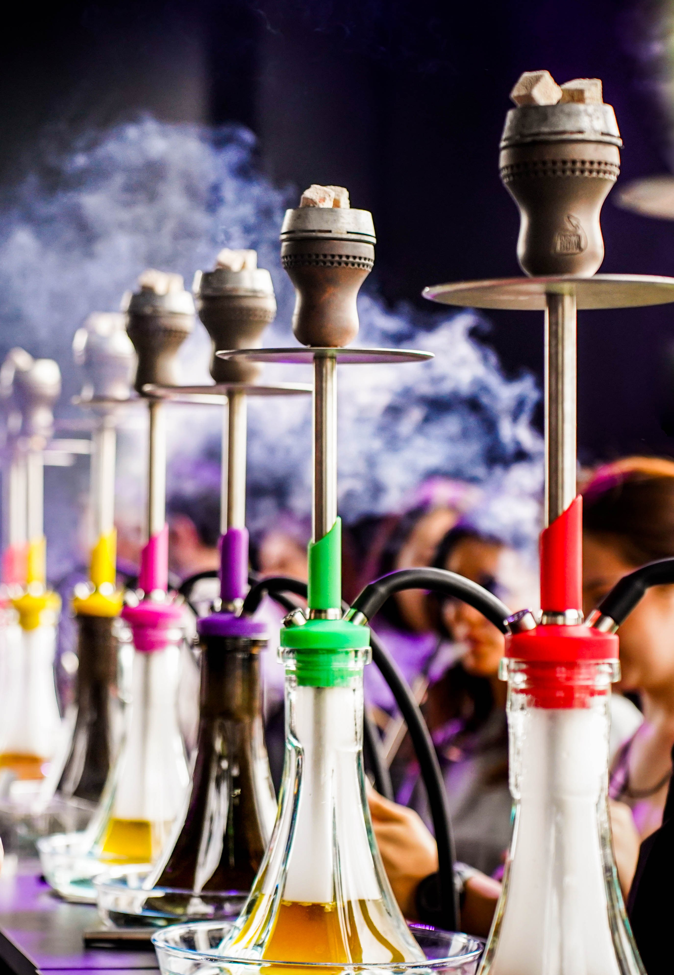 ФЕСТИВАЛЬ JohnCalliano 2025. Портфолио