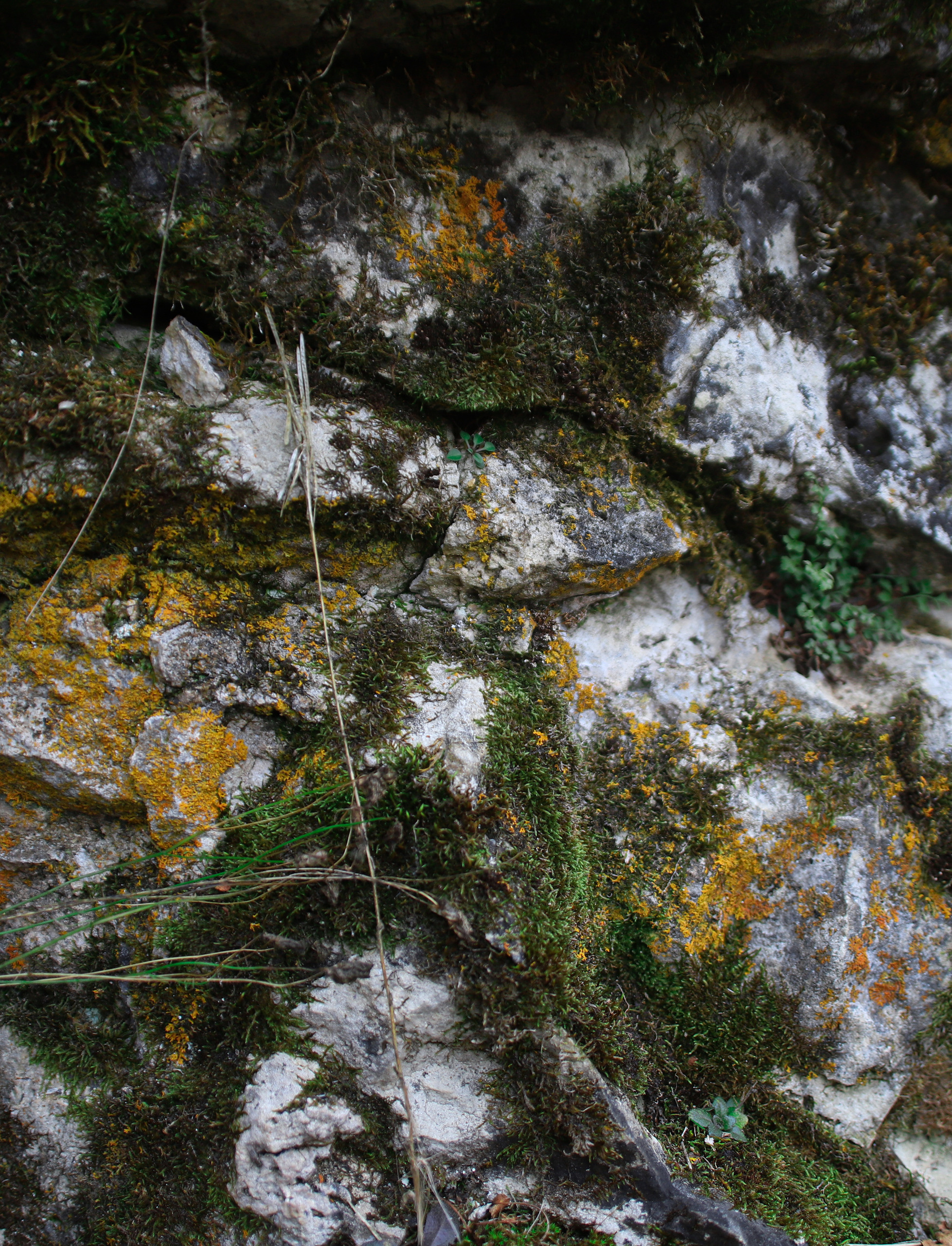 История про тебя. Фотограф в Ухте