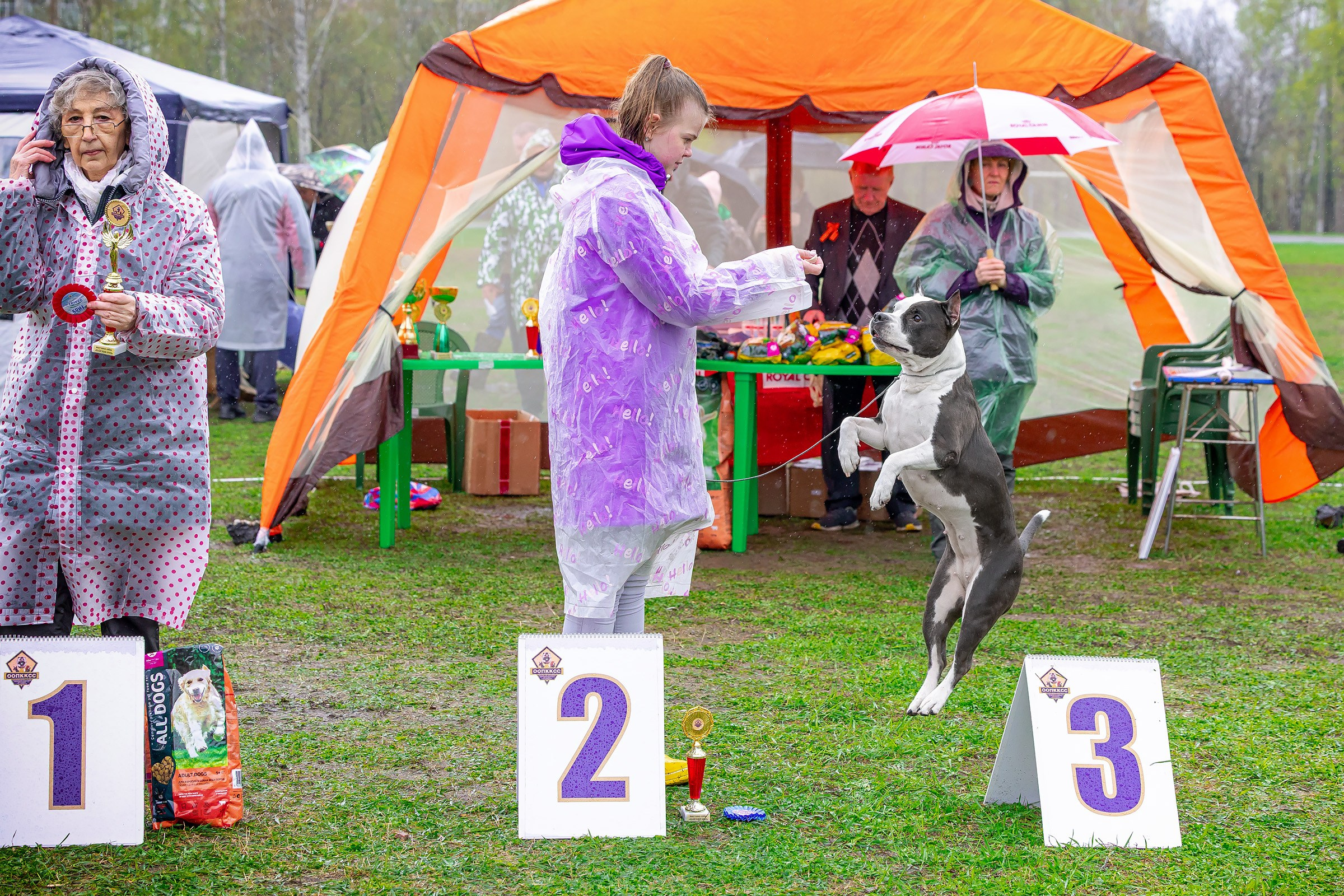 11 мая 2025, Выставка РКФ, г. Пермь. Htykk_photo