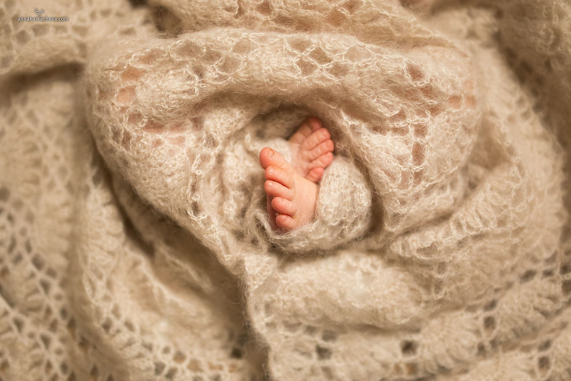 Семья и дети. Ароматестирование по методу Аромакод и Нейростатус в Санкт-Петербурге