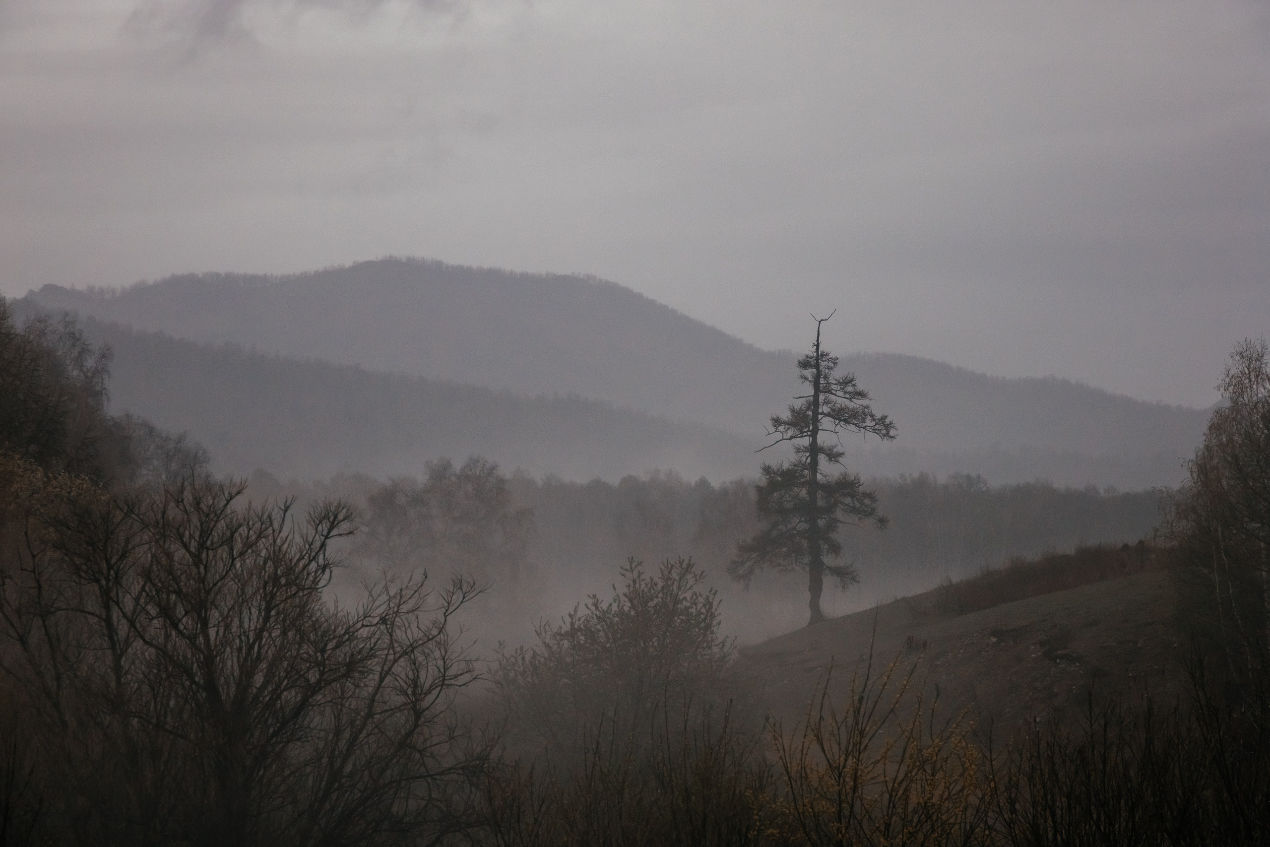 Хакассия. Фотограф в Красноярске Оксана Корчагина