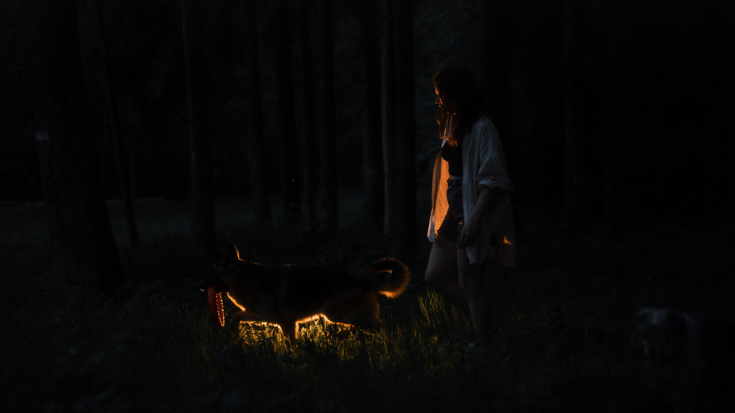 Настя, Шуня, Милка и Тигуан. Фотограф-анималист Богданова Полина