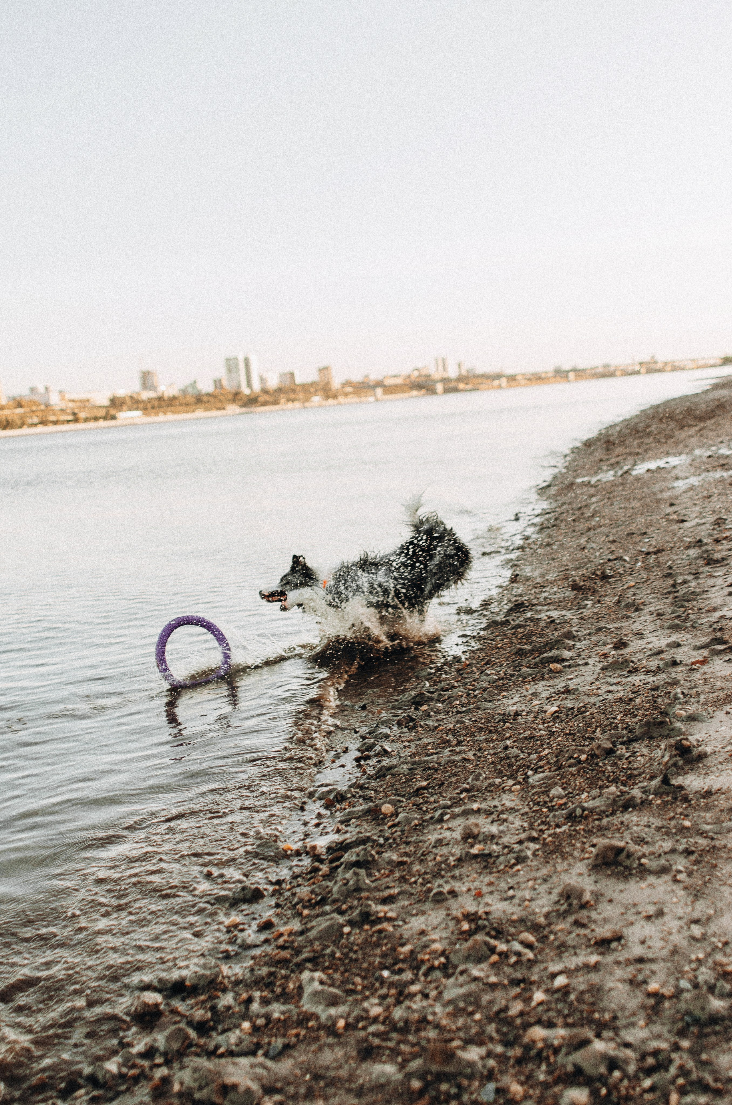 Таня и Бриллиант. Фотограф-анималист Богданова Полина